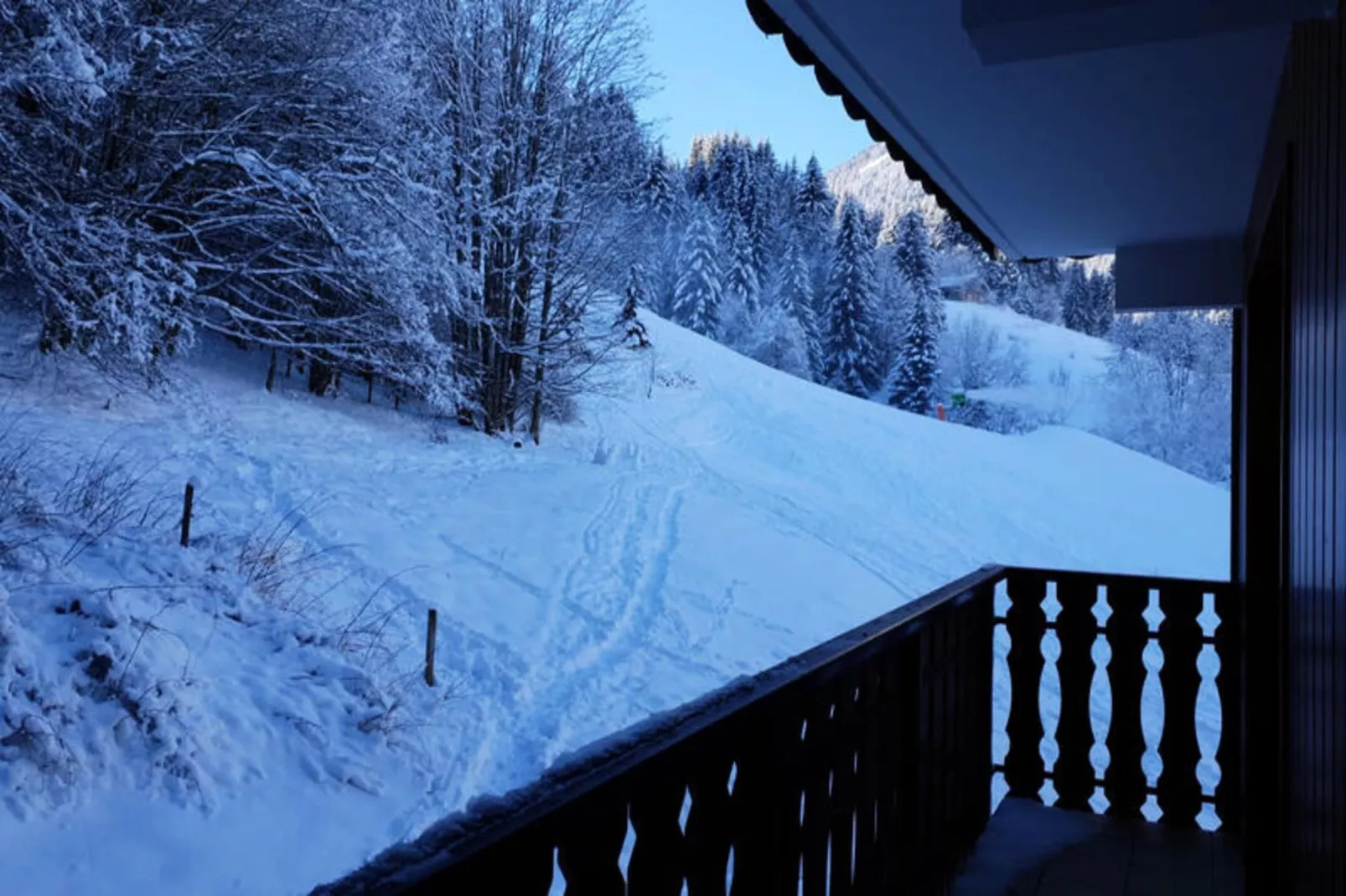 Appartements à Saint Jean d'Aulps-Terrasbalkon