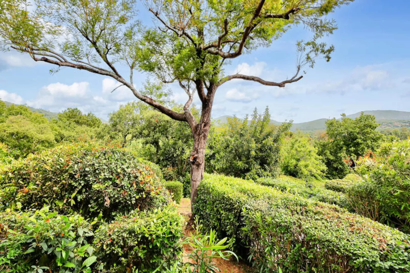 Les Maisons aux Restanques du Golfe de St Tropez - maeva Home-Image-tags.
