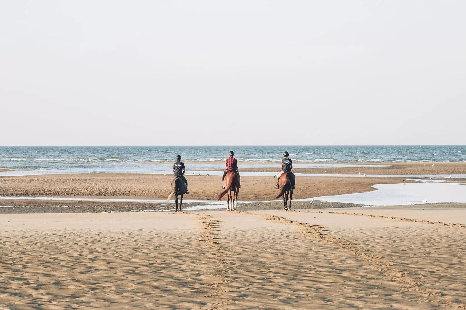 Résidence Le Héron-Gebieden zomer 5km