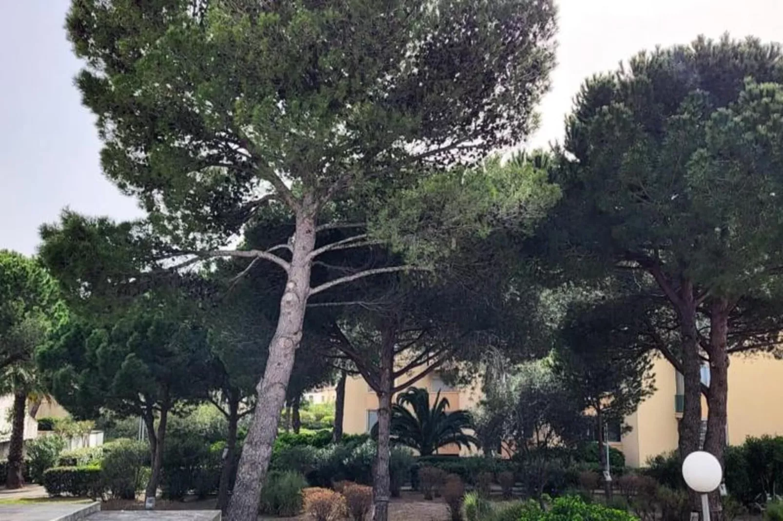 Résidence La Cigale De Mer &agrave; 100 M De La Plage Et Du Centre Ville Du Grau Du Roi-Uitzicht zomer