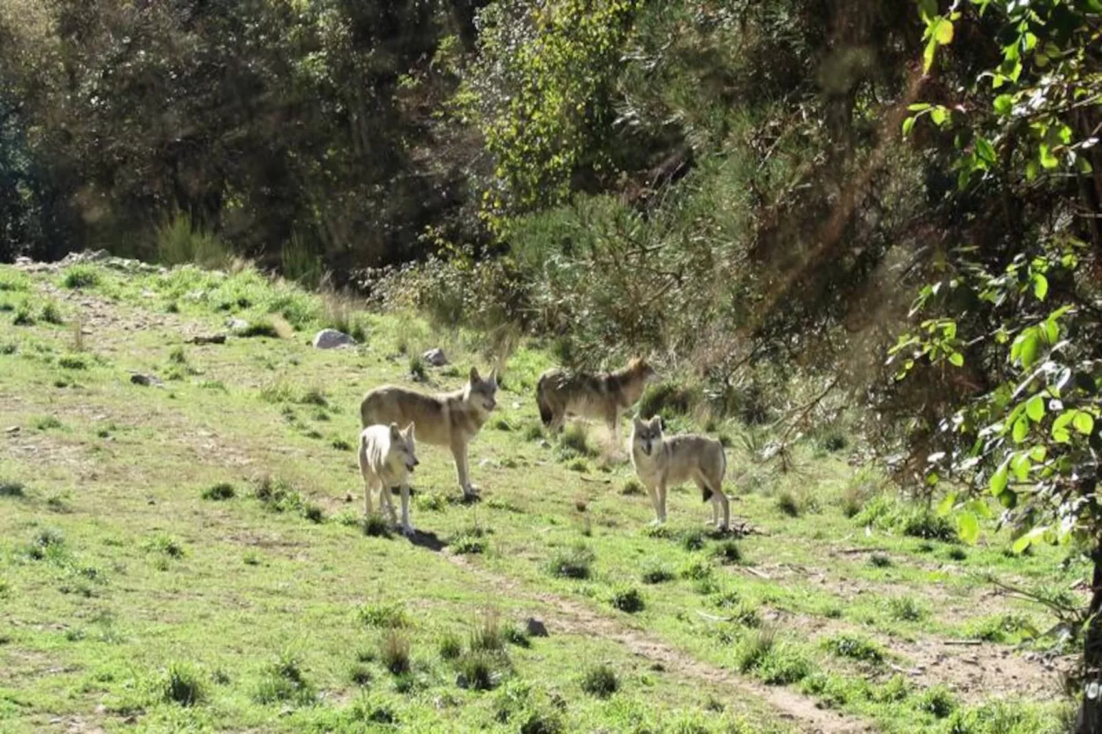 Gîte de France Gîtes de france 11 personnes au teil 3 épis-Image-tags.