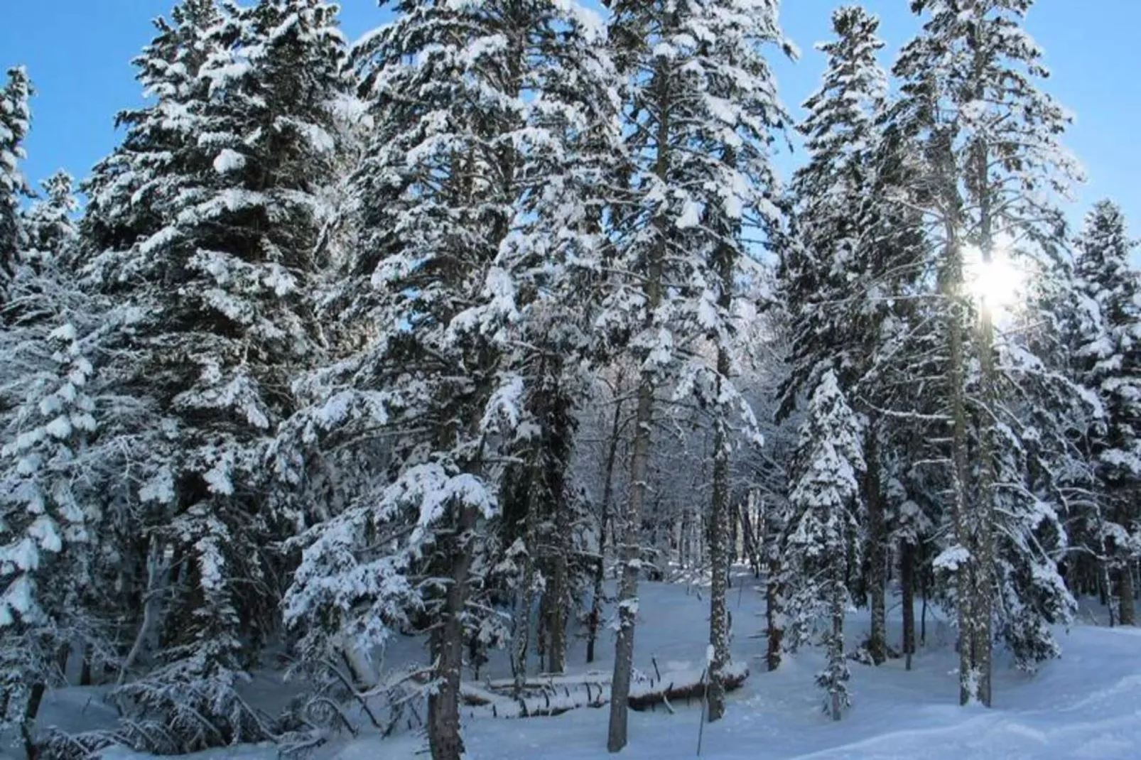 Résidence Casino-Gebied winter 20km