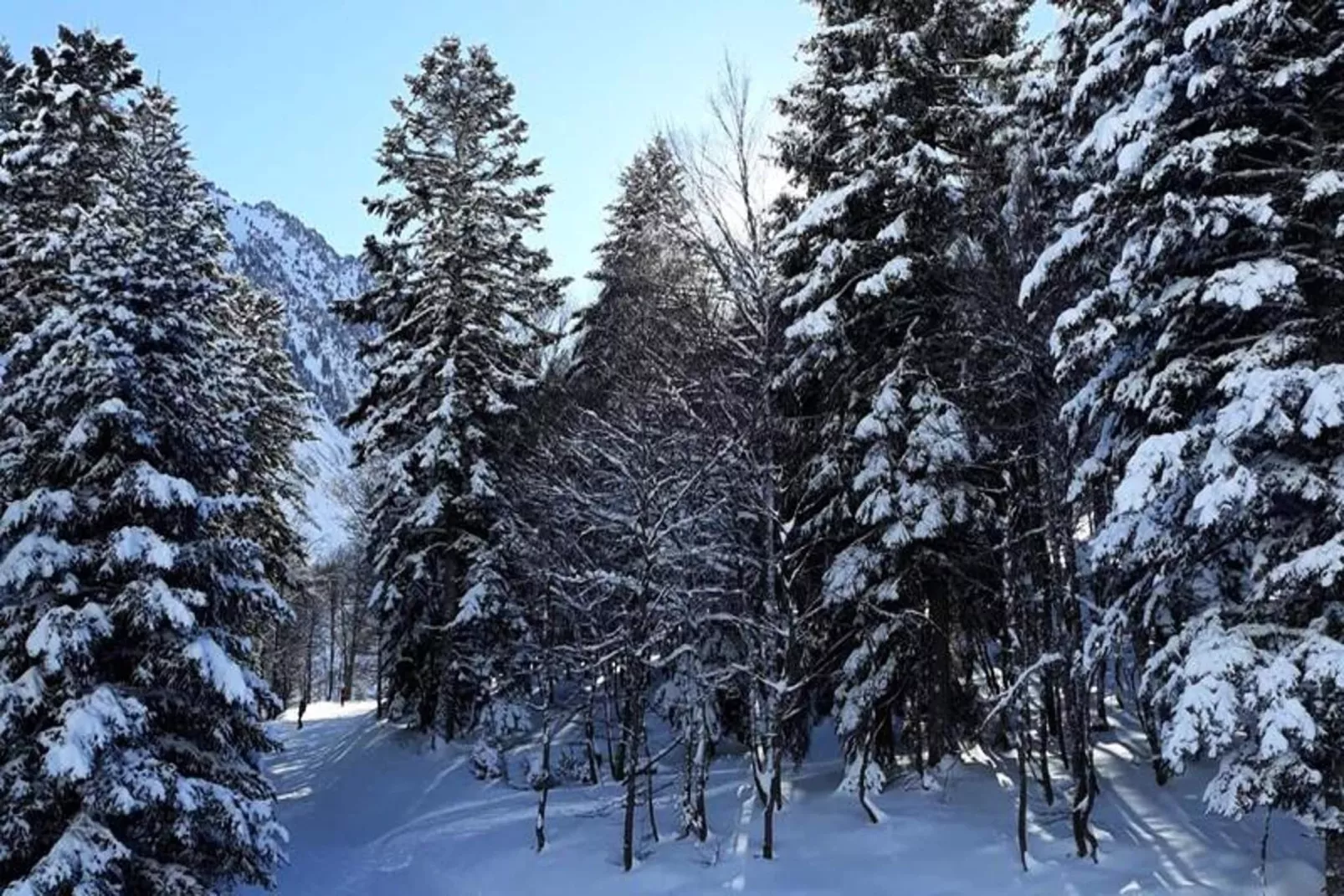 Résidence Ayre-Gebieden zomer 5km