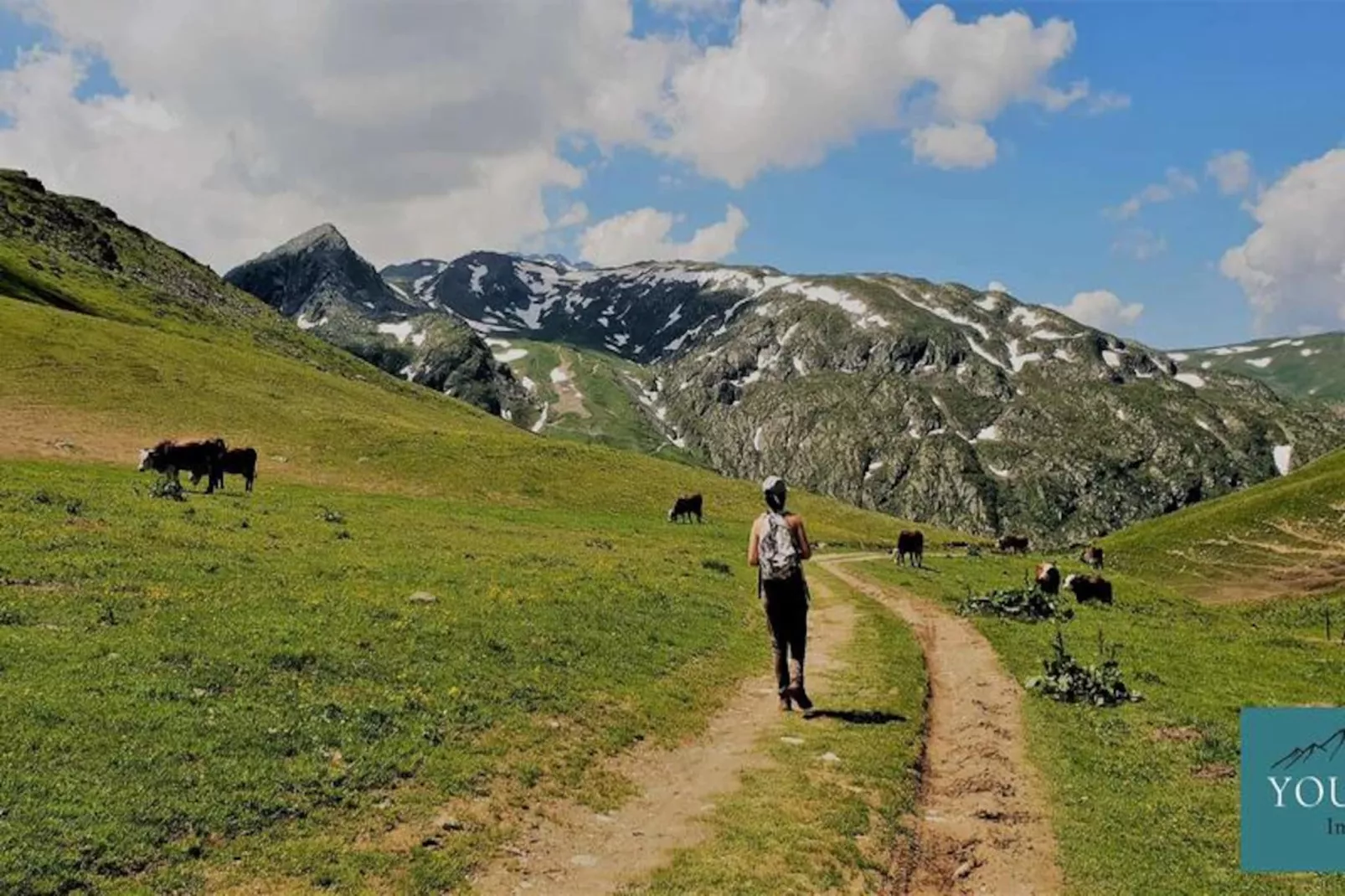 Résidence Les Aiguilles-Image-tags.