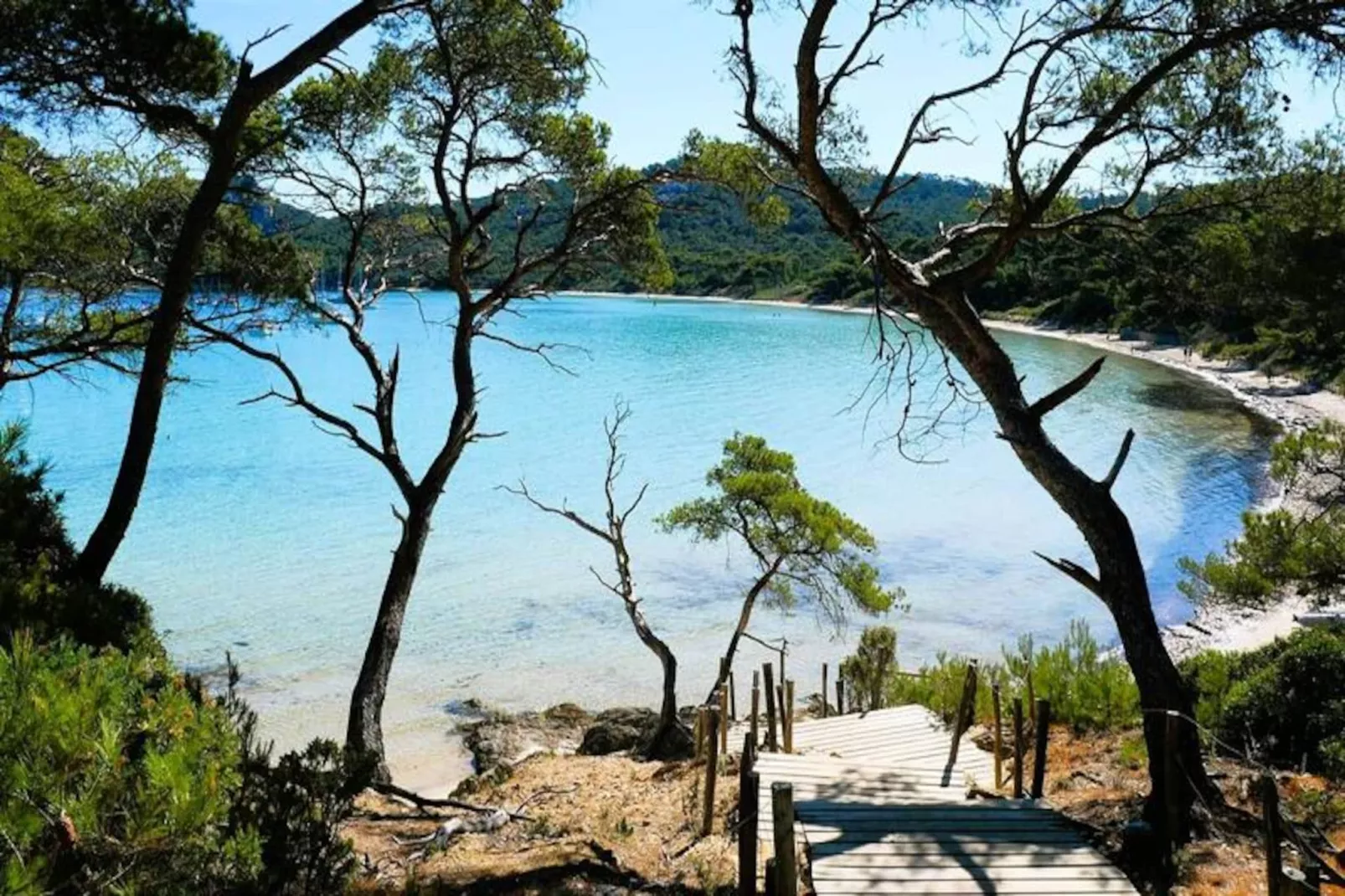 Résidence Le Palm -hyeres-Image-tags.