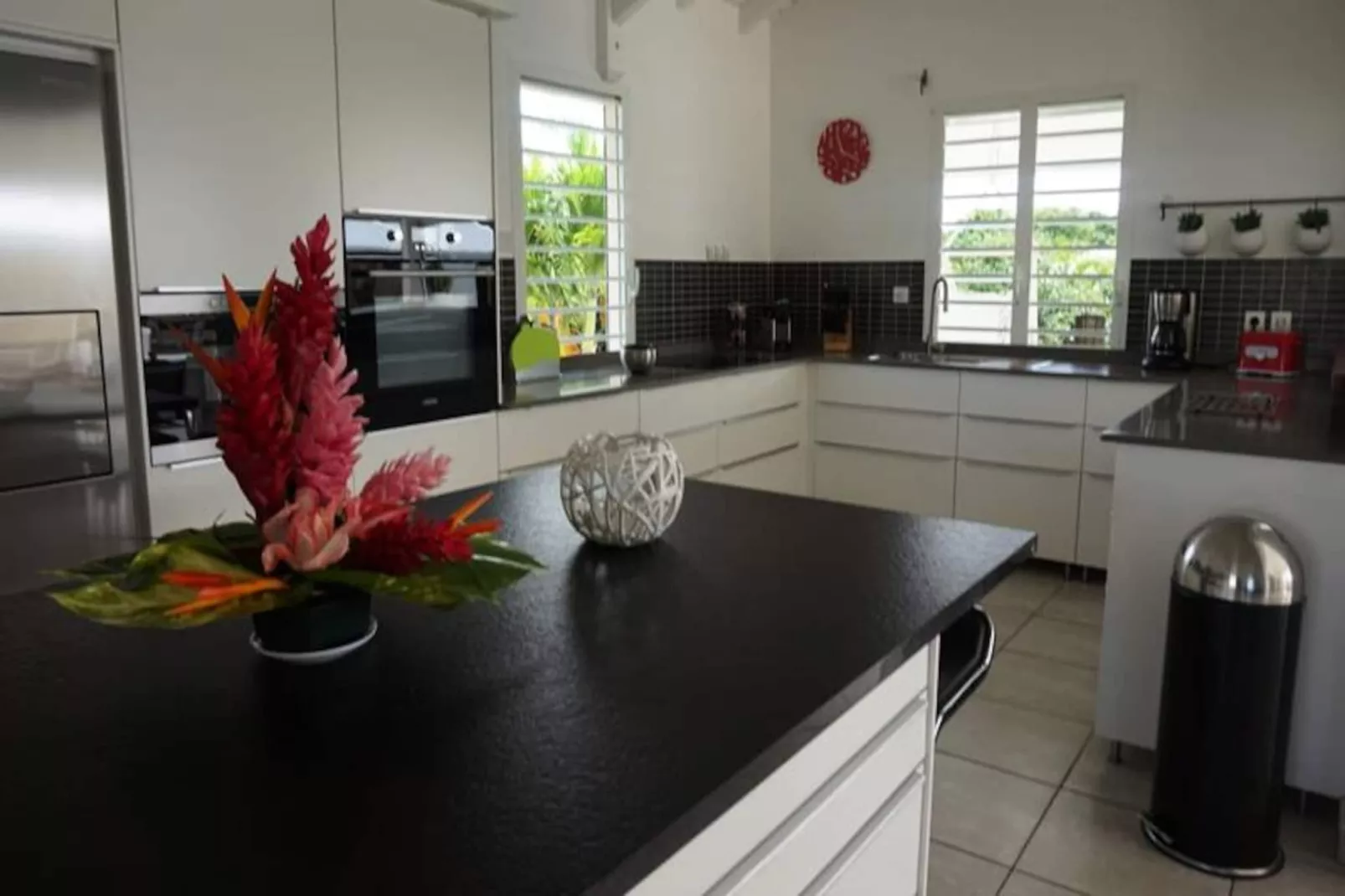 Villa Arbre Du Voyageur-Image-tags.