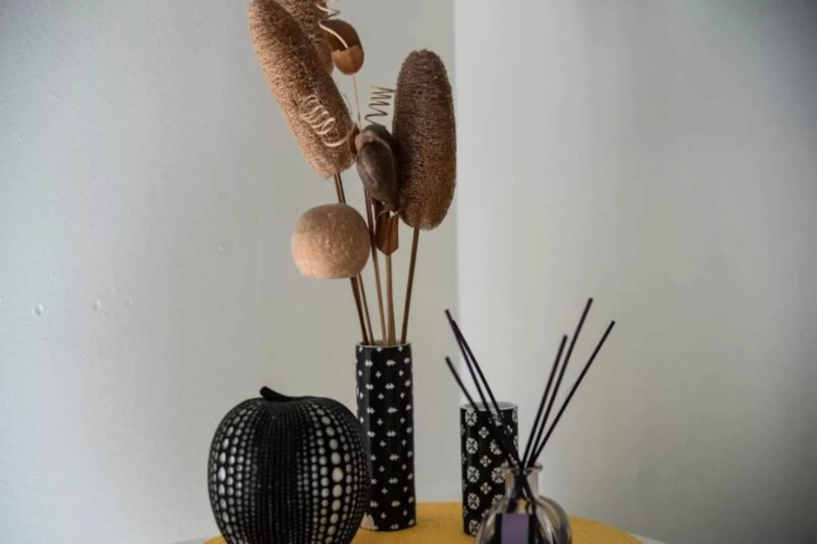 Bungalow Monarque-Image-tags.