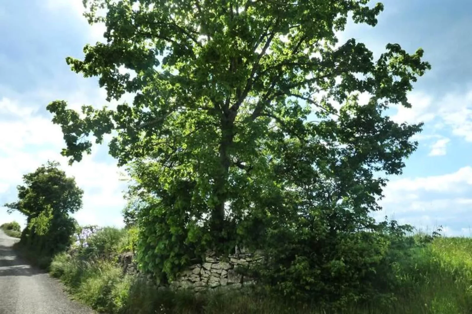 Gîte de France Gîte " la prairie" 4 épis-Image-tags.