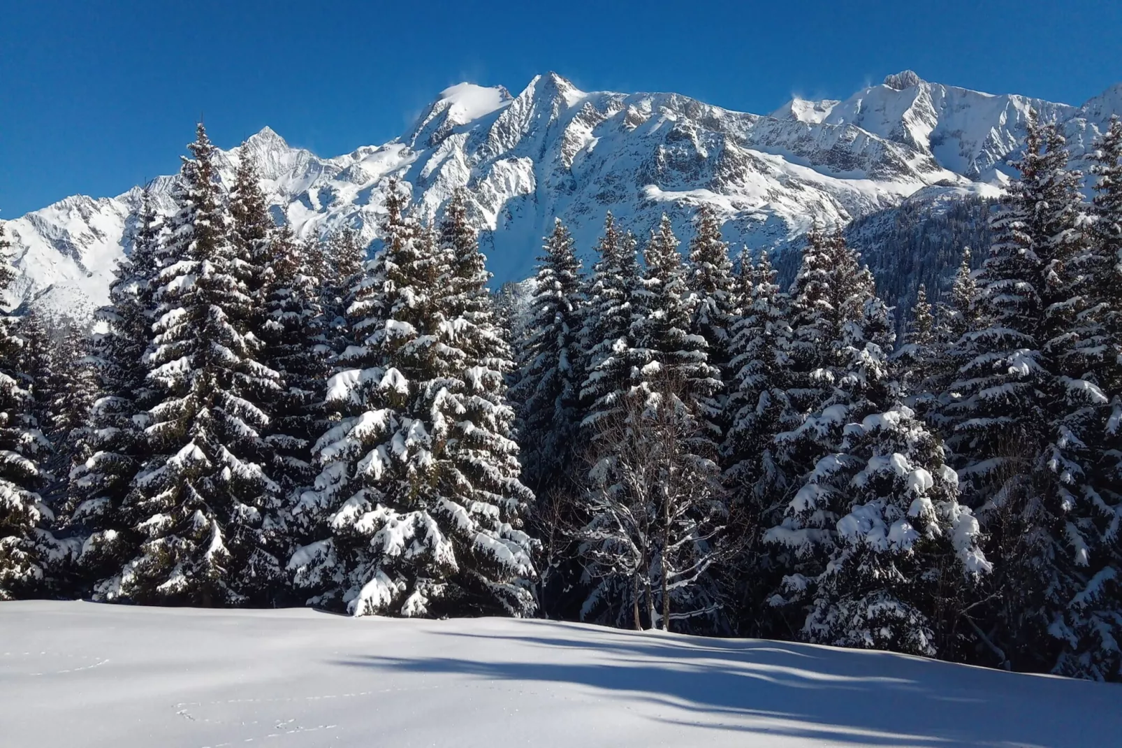 Résidence Le Brulaz-Buitenkant zomer