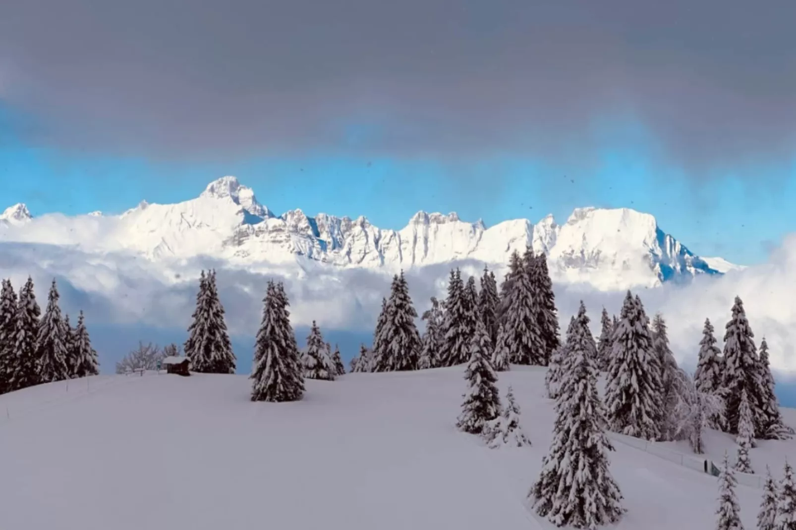 Résidence Les Aiguilles Rouges Bat B-Gebied winter 5km