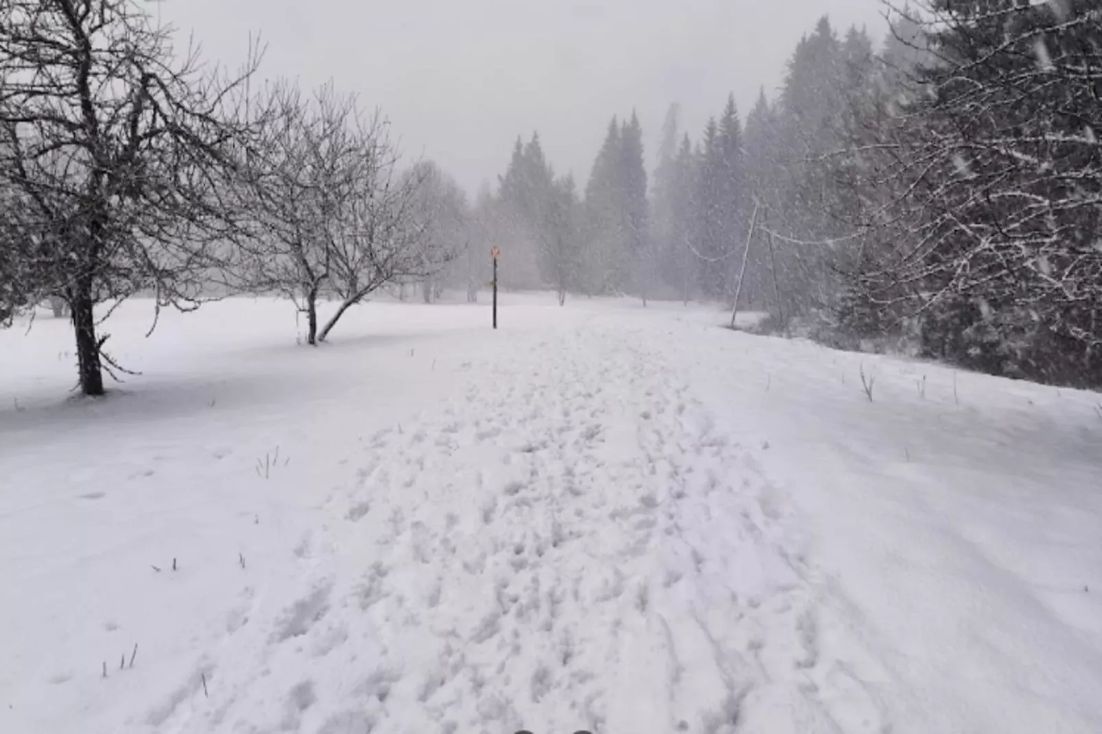 Résidence Odalys Le Buet**-Gebied winter 5km