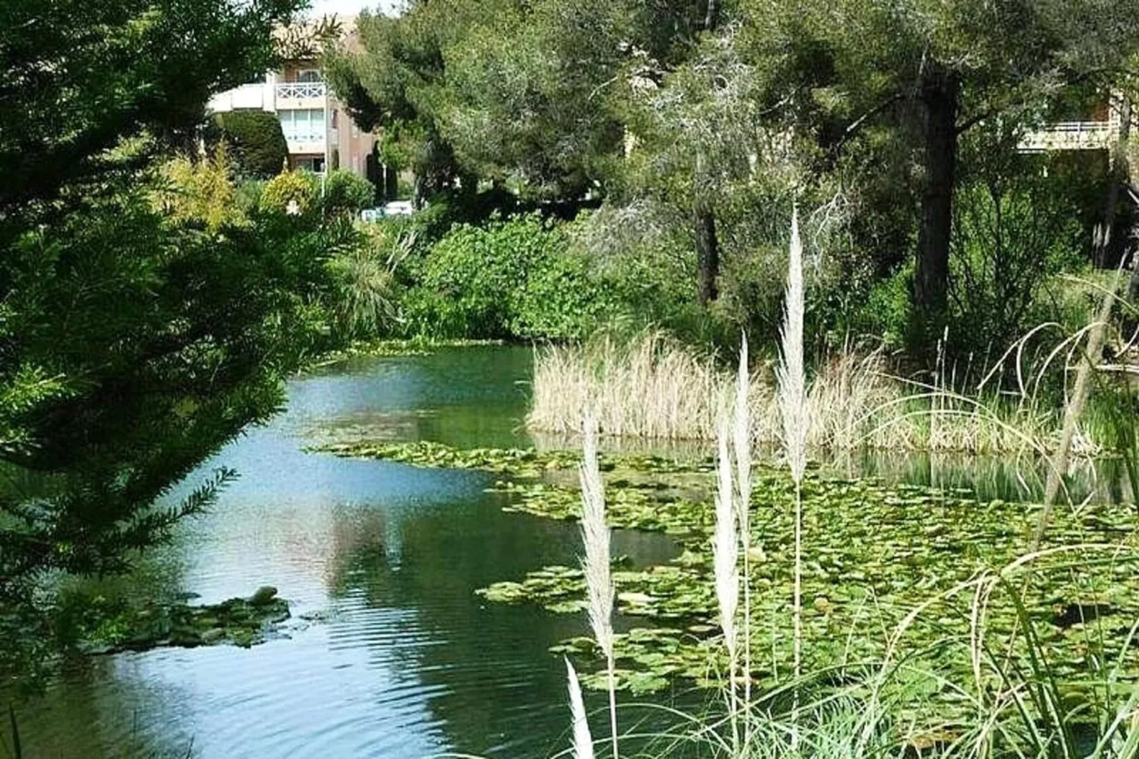 Résidence Verdon-Uitzicht zomer