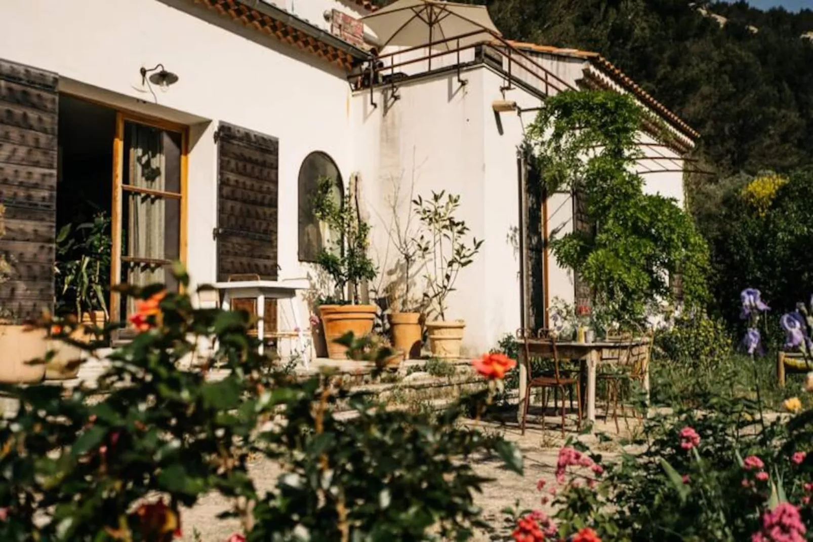 Perle Rare Avec Vues Panoramiques-Image-tags.