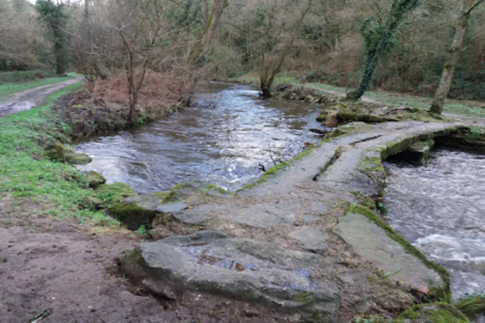 Résidence Les Goelands-Buitenkant zomer