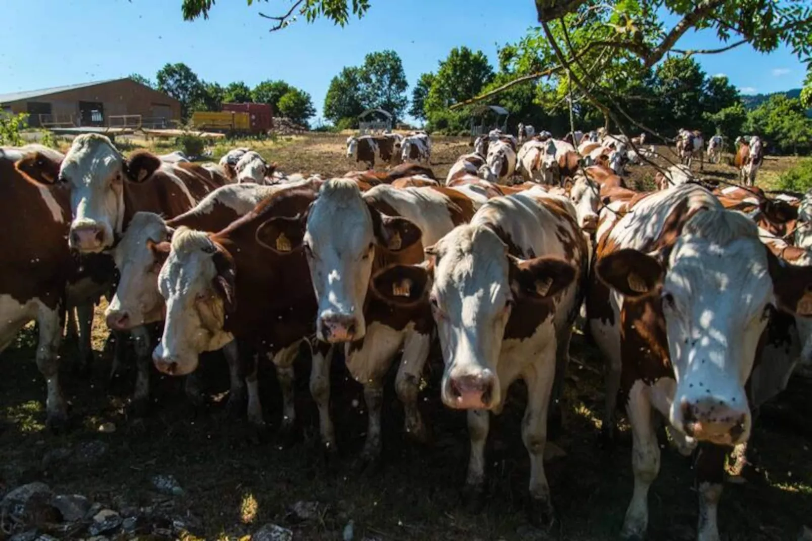 Gîte de France La grange aux roses 4 épis-Image-tags.