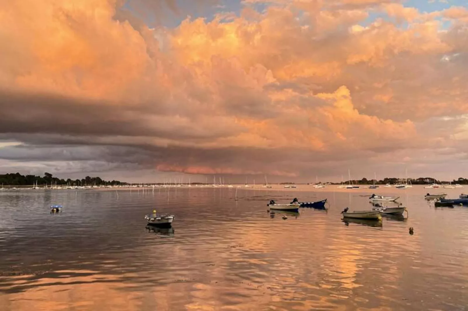 Résidence Les Terrasses Du Port-Image-tags.
