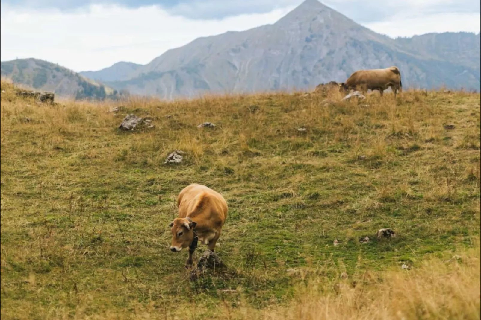 Residence La Corniche - Gebieden zomer 5km