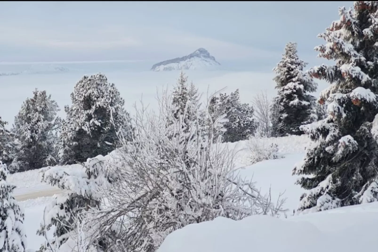 Chalet Les Triolets-Gebied winter 5km