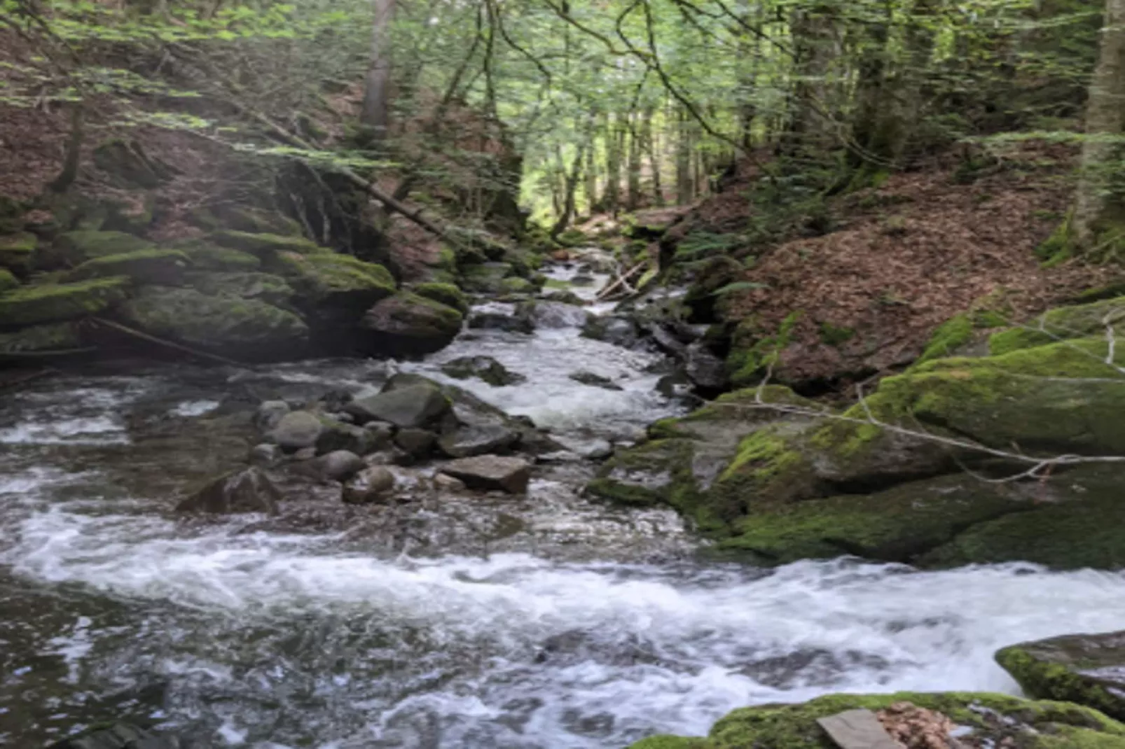 Appartements à La Clusaz-Gebieden zomer 5km