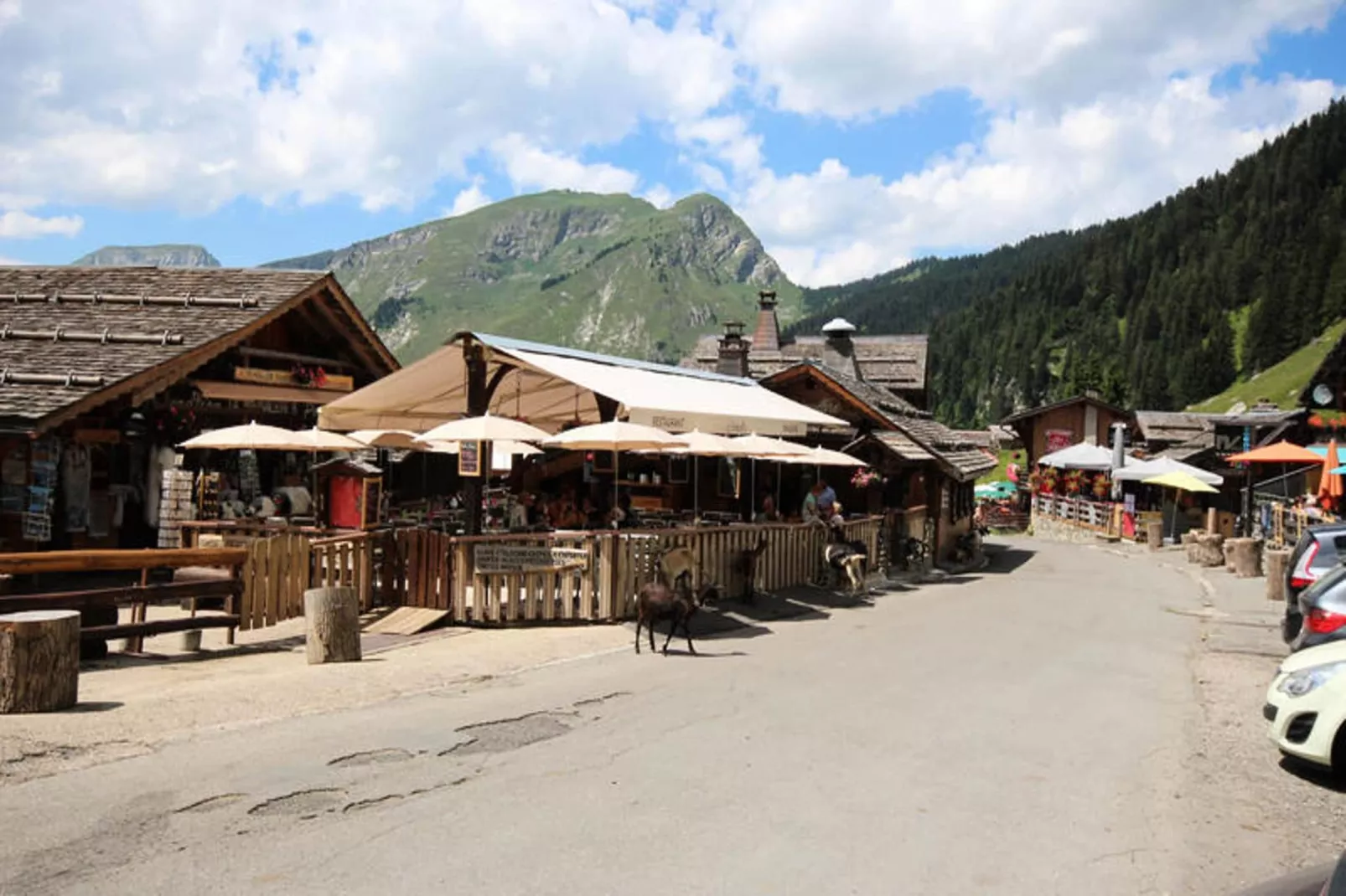 Appartements à Montriond-Gebieden zomer 1km