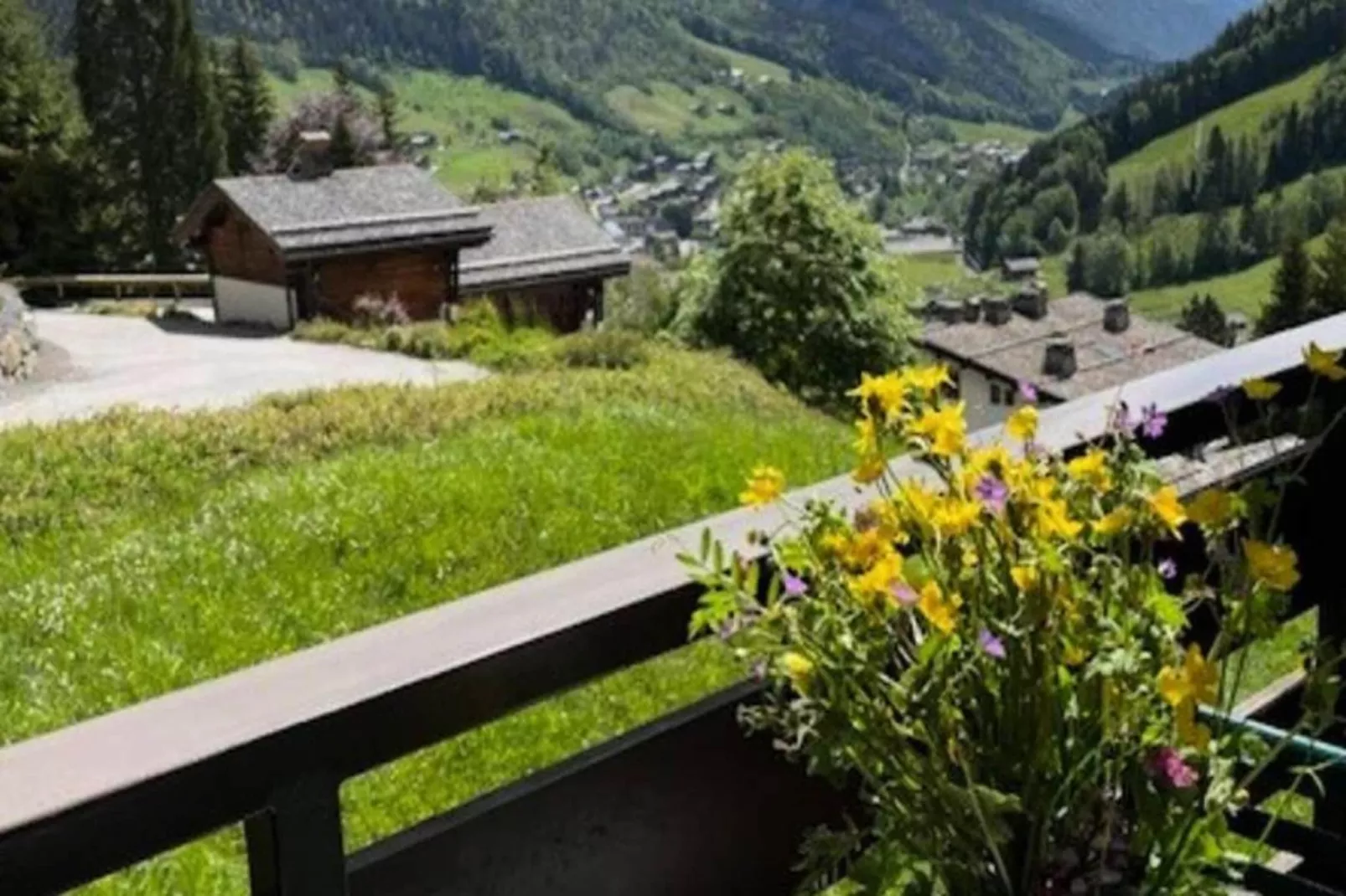 Résidence Millepertuis C-Uitzicht zomer