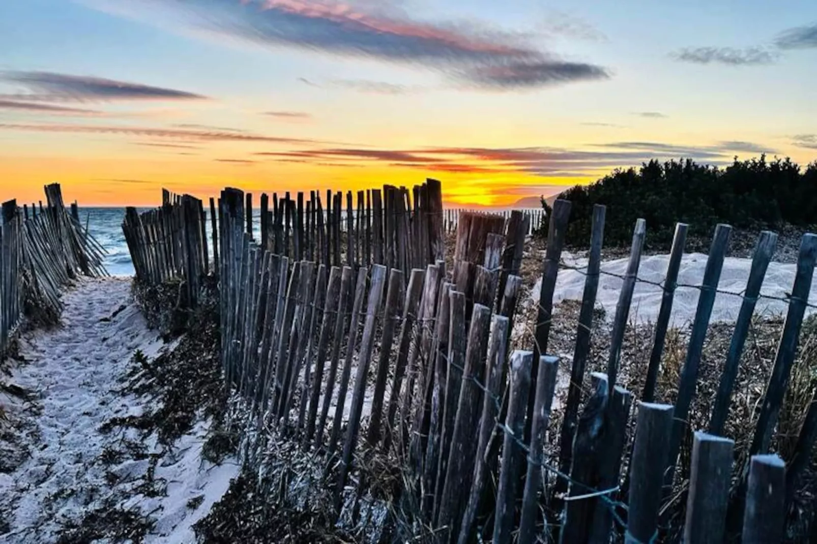 Résidence Le Palm -hyeres-Image-tags.