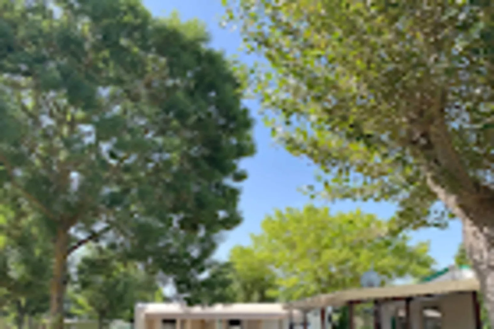 Villa Californie - Domaine Le Sherwood-Buitenkant zomer