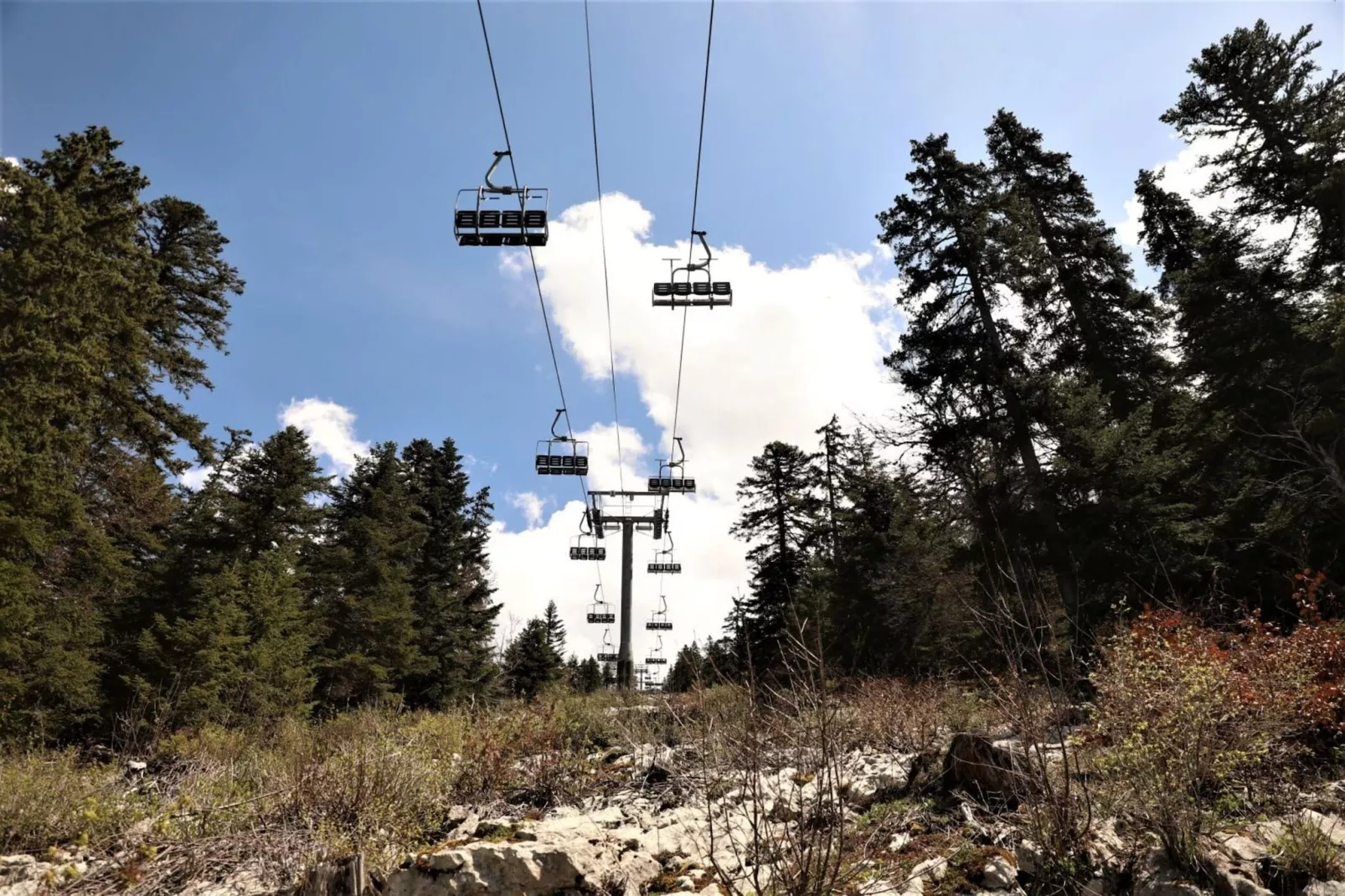 Résidence Odalys L'Ours Blanc-Gebied winter 5km