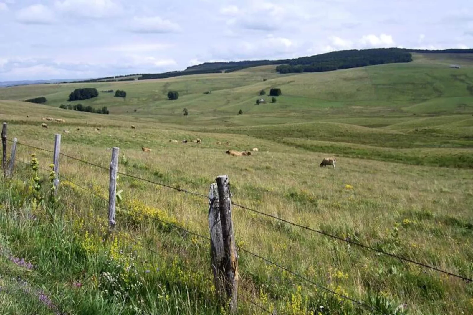 Gîte de France Gîtes de france 11 personnes au teil 3 épis-Image-tags.