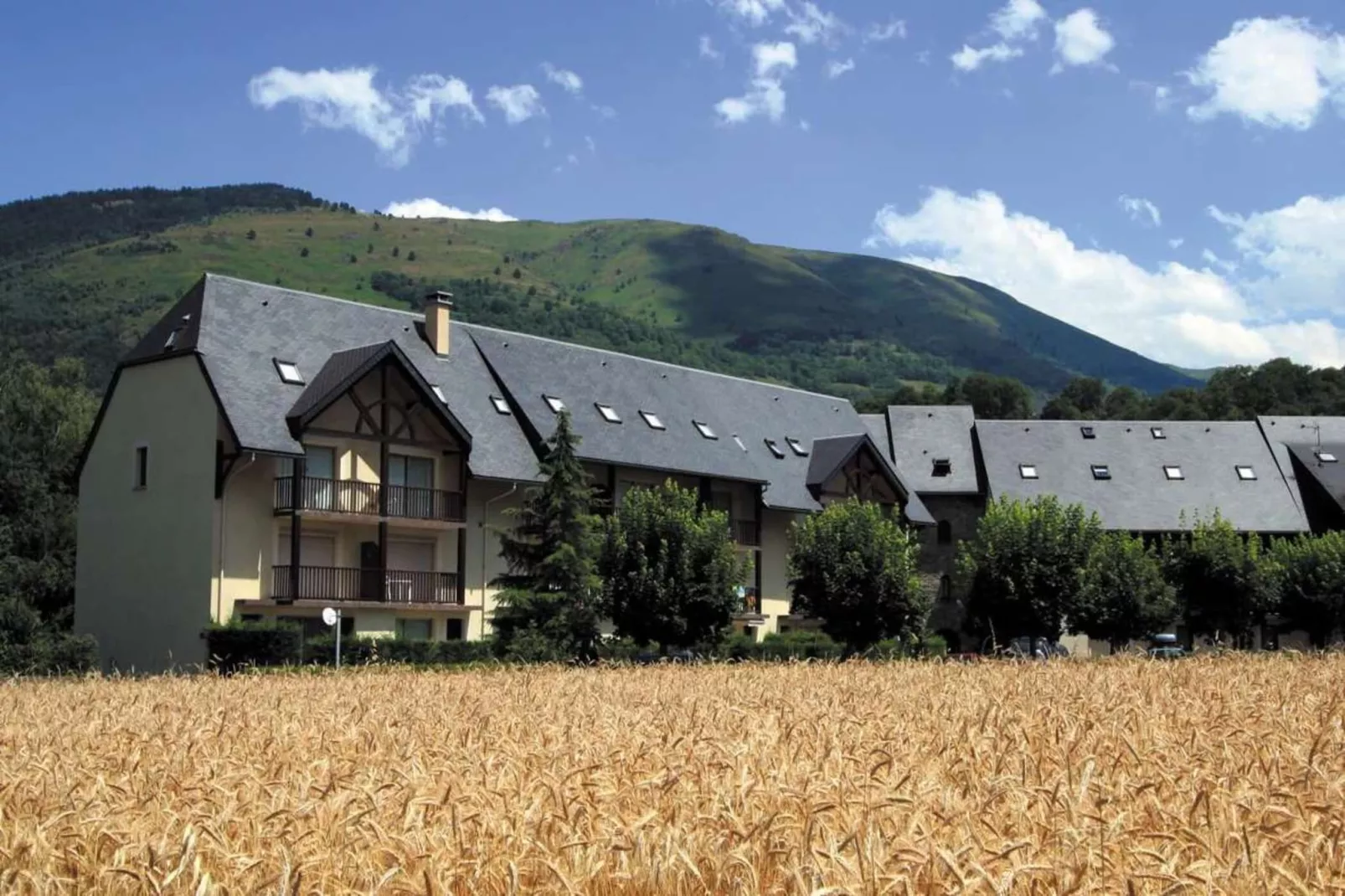 Résidence Village Des Thermes-Gebieden zomer 5km