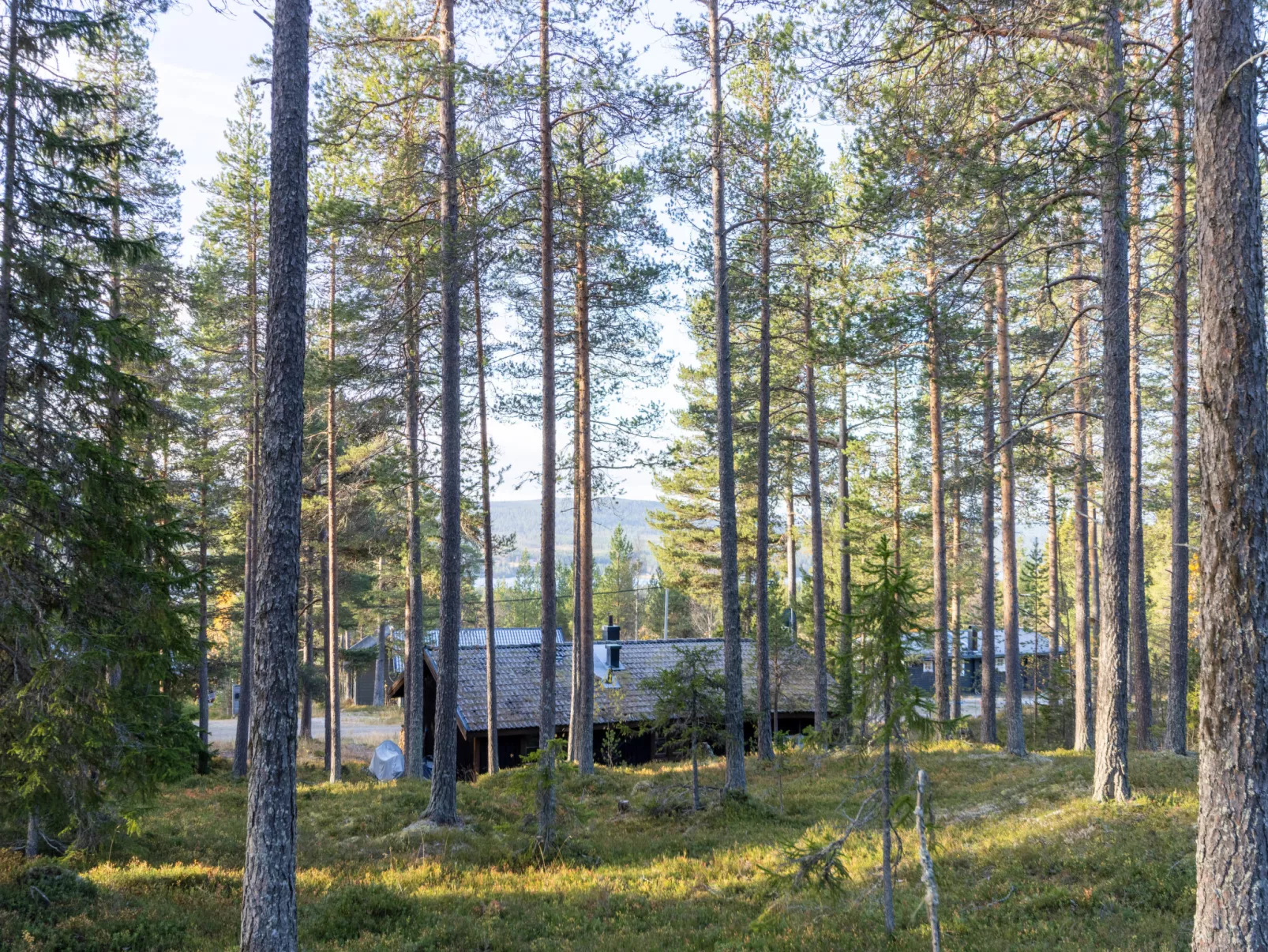 Fjällnästet-Buiten