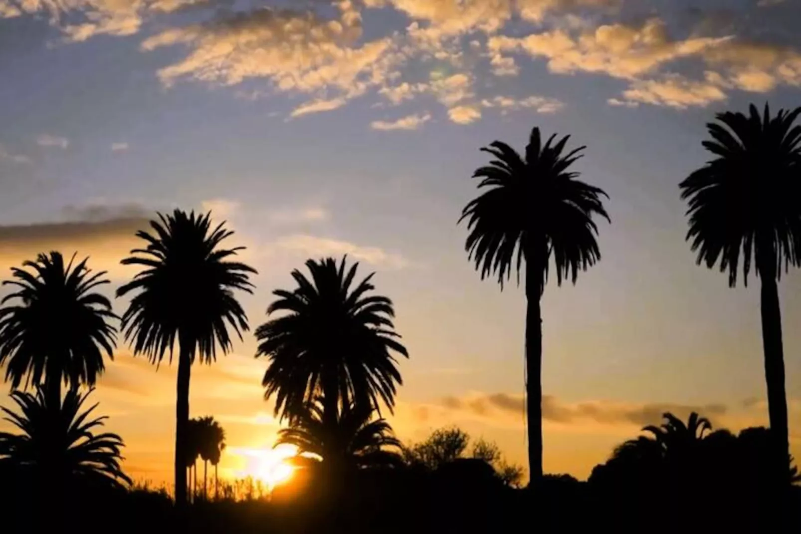 Résidence Hyelan-hyeres-Image-tags.