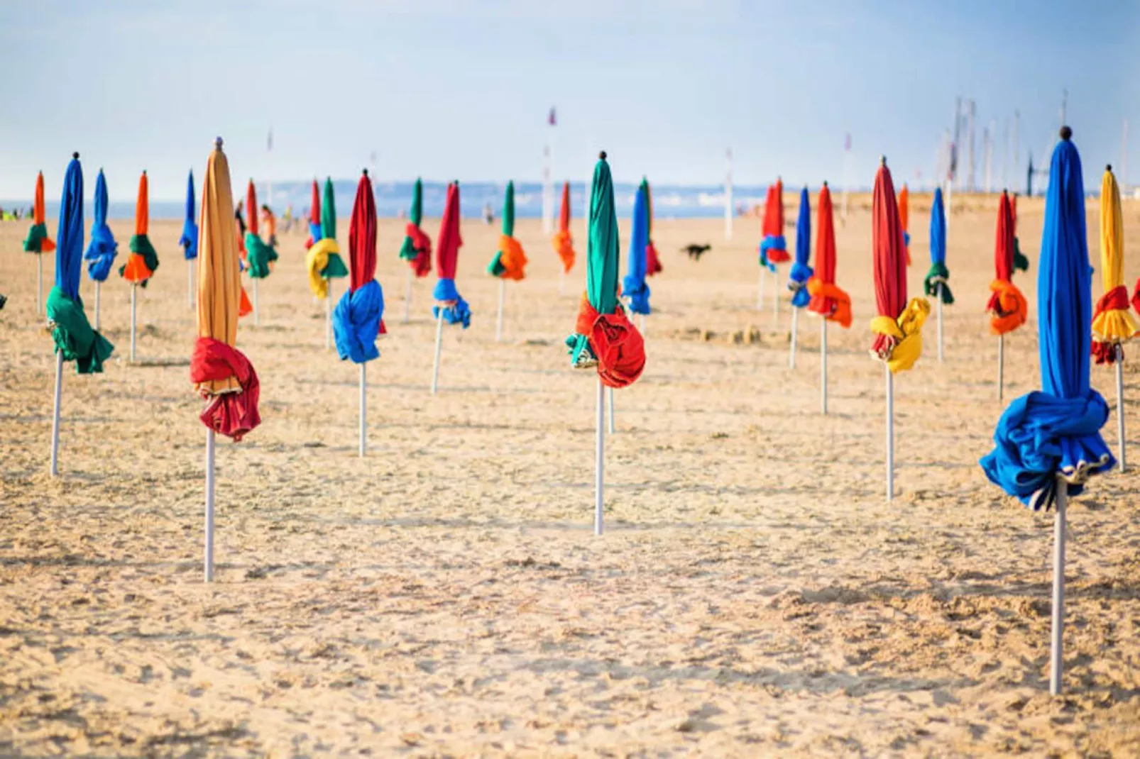 🏡 Le Duplex - Casino Et Plage &agrave; 50m - 3ch-Image-tags.