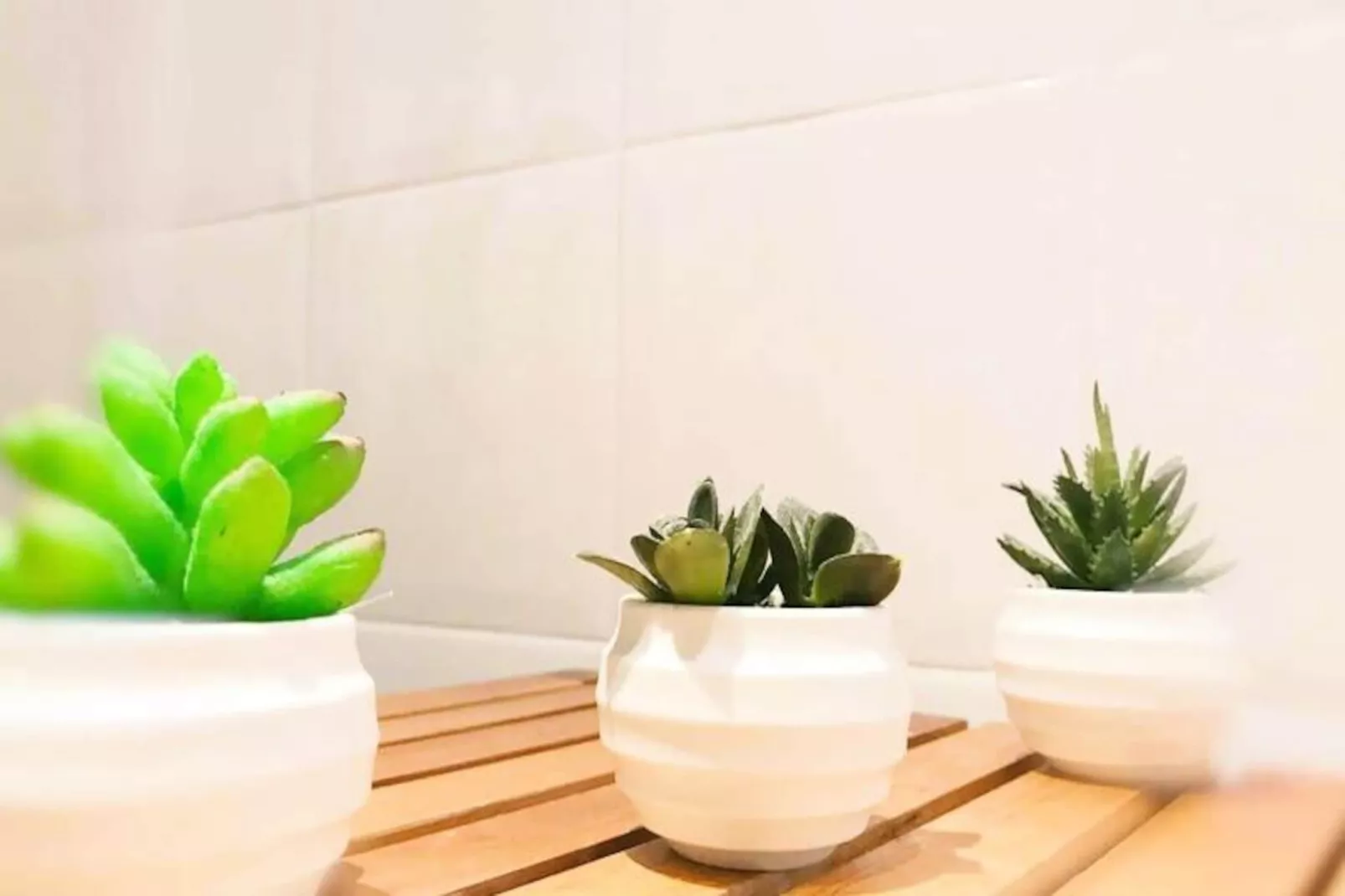 R&eacute;sidence St Vincent-Image-tags.