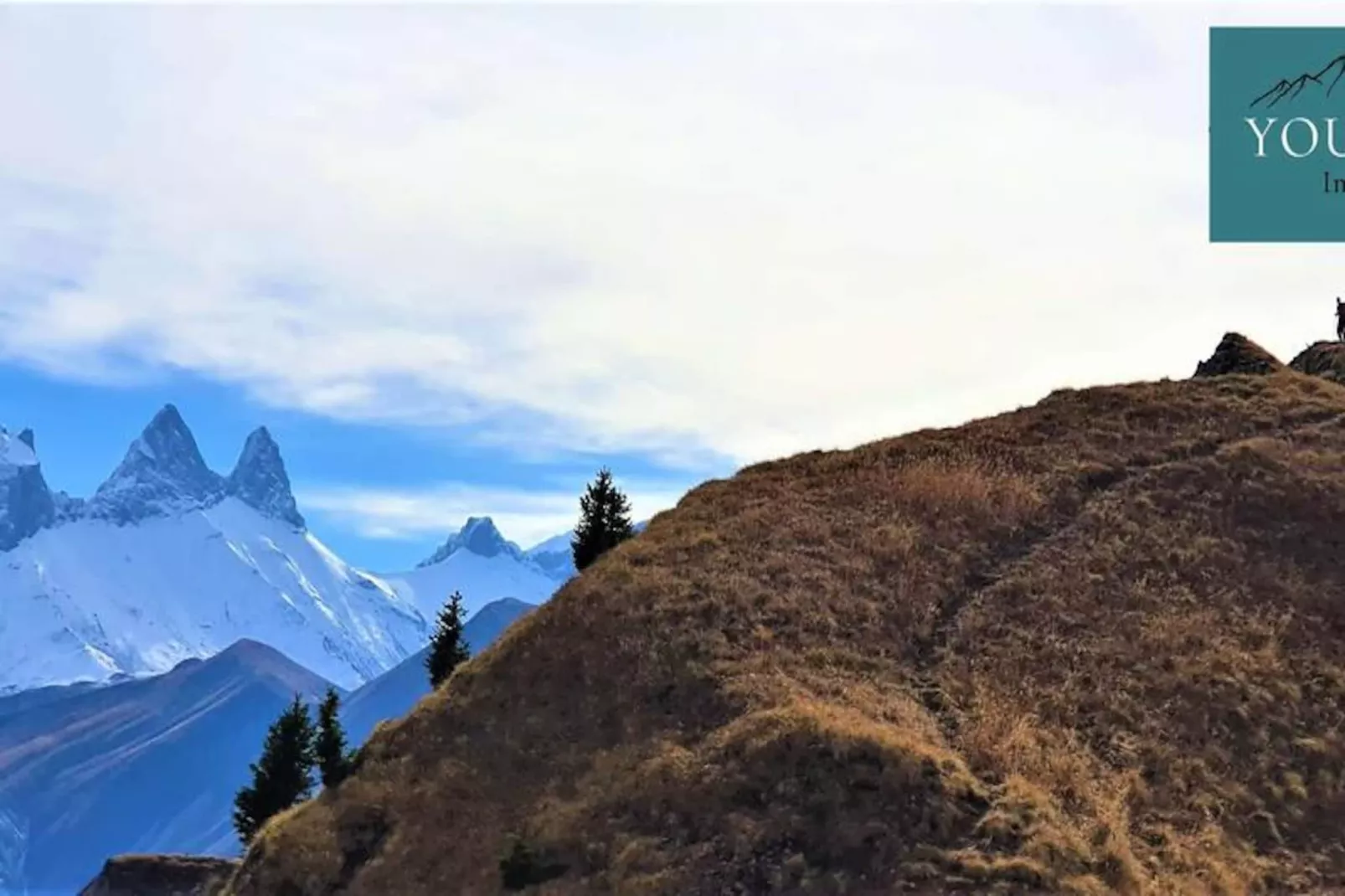 Résidence Les Grands Sauvages-Image-tags.