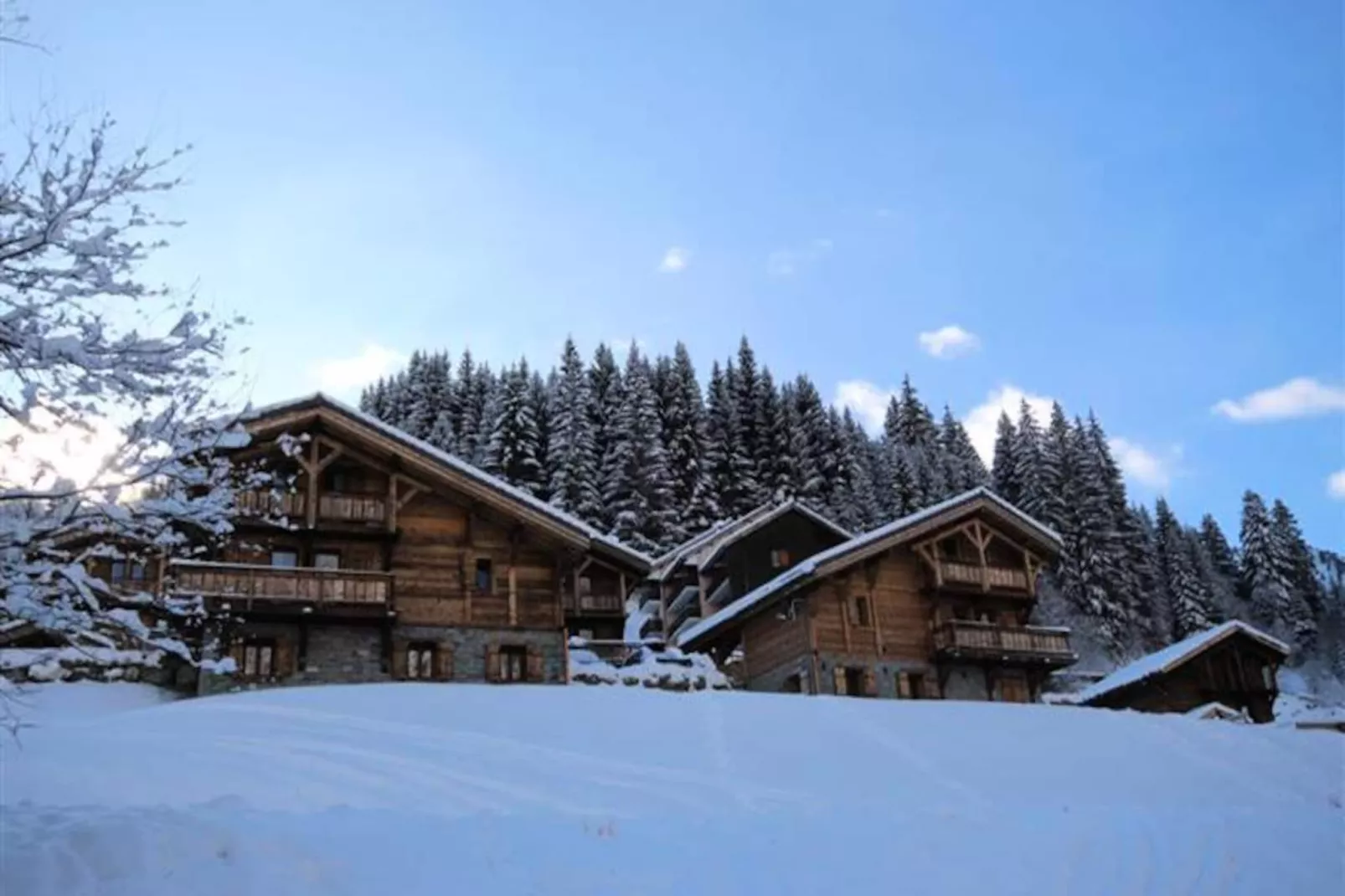 Chalets à Saint Jean d'Aulps-Image-tags.