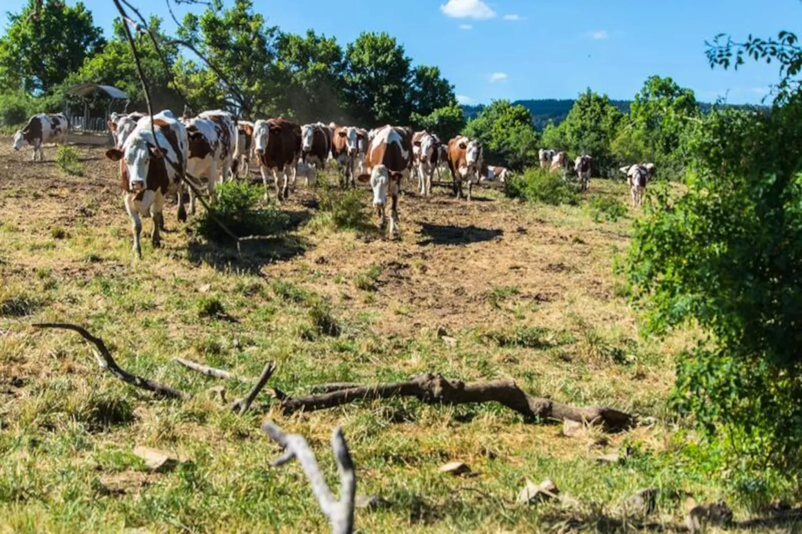 Gîte de France La grange aux roses 4 épis-Image-tags.