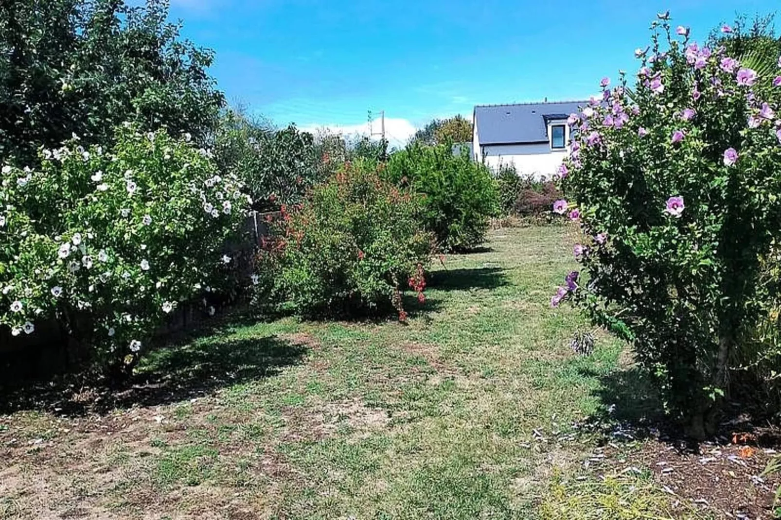 Résidence Liz-sarzeau-Tuinen zomer