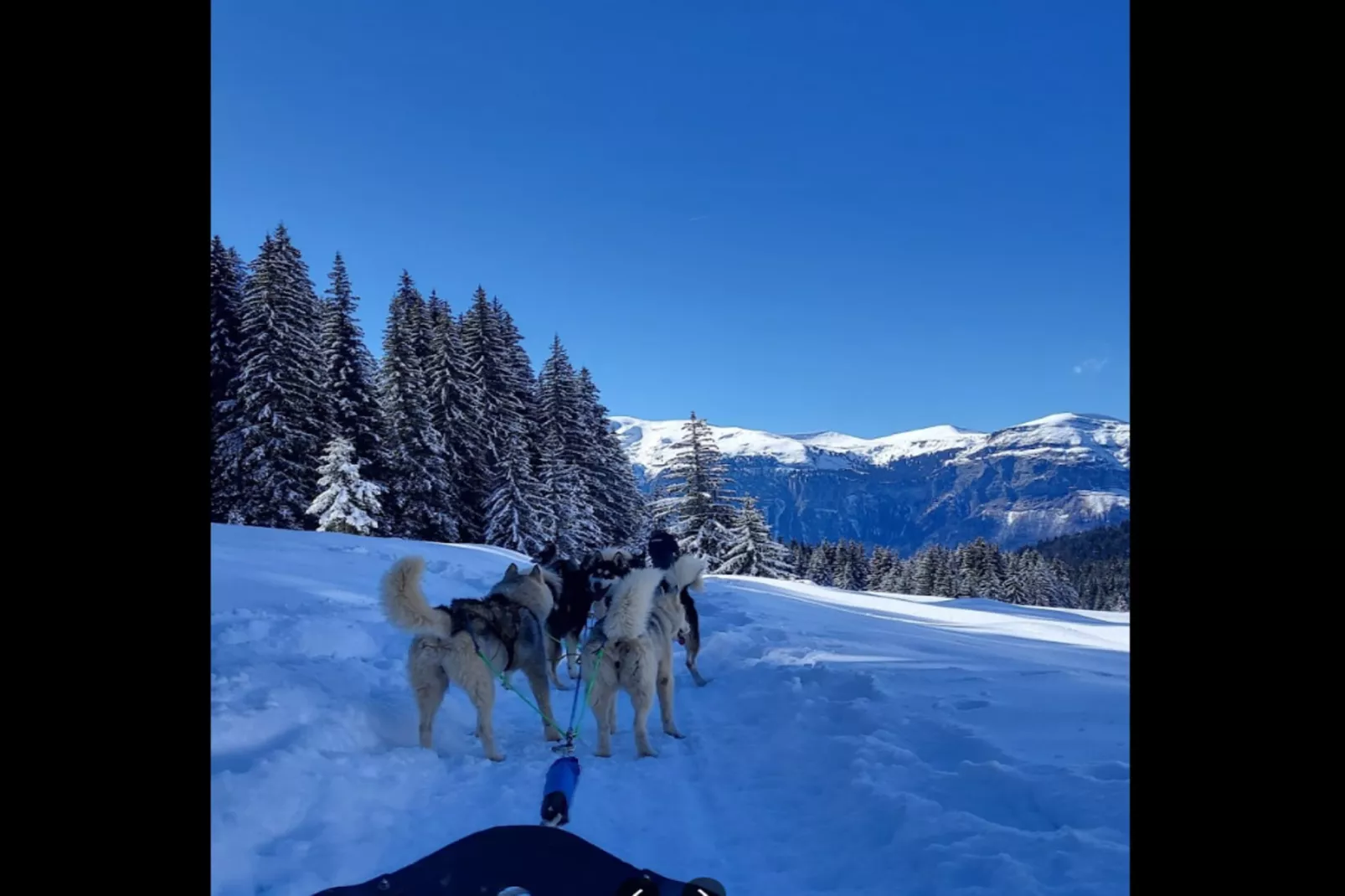 Résidence Floralie - Domaine Des Lapons 2-Gebied winter 5km