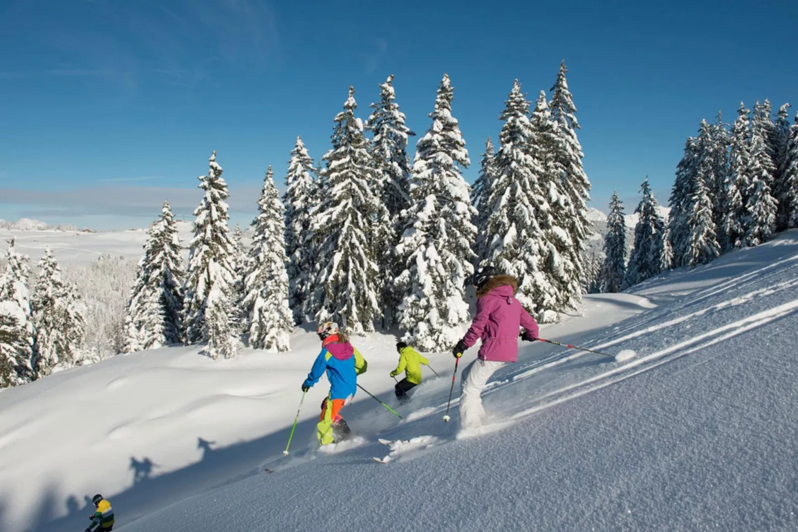 Appartements à La Clusaz - Gebied winter 5km