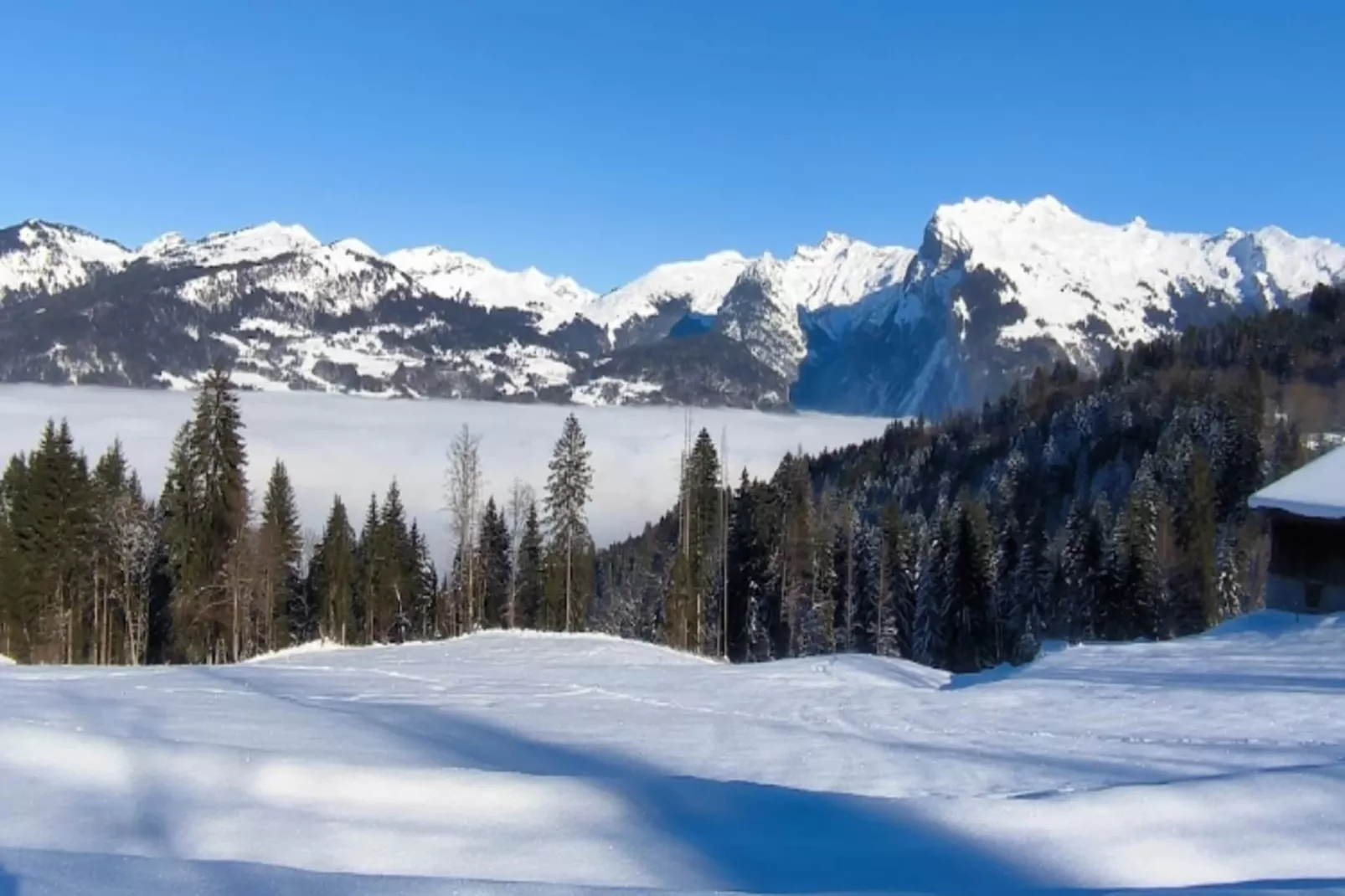 Résidence Jardin Alpin Bat B-Gebied winter 1km