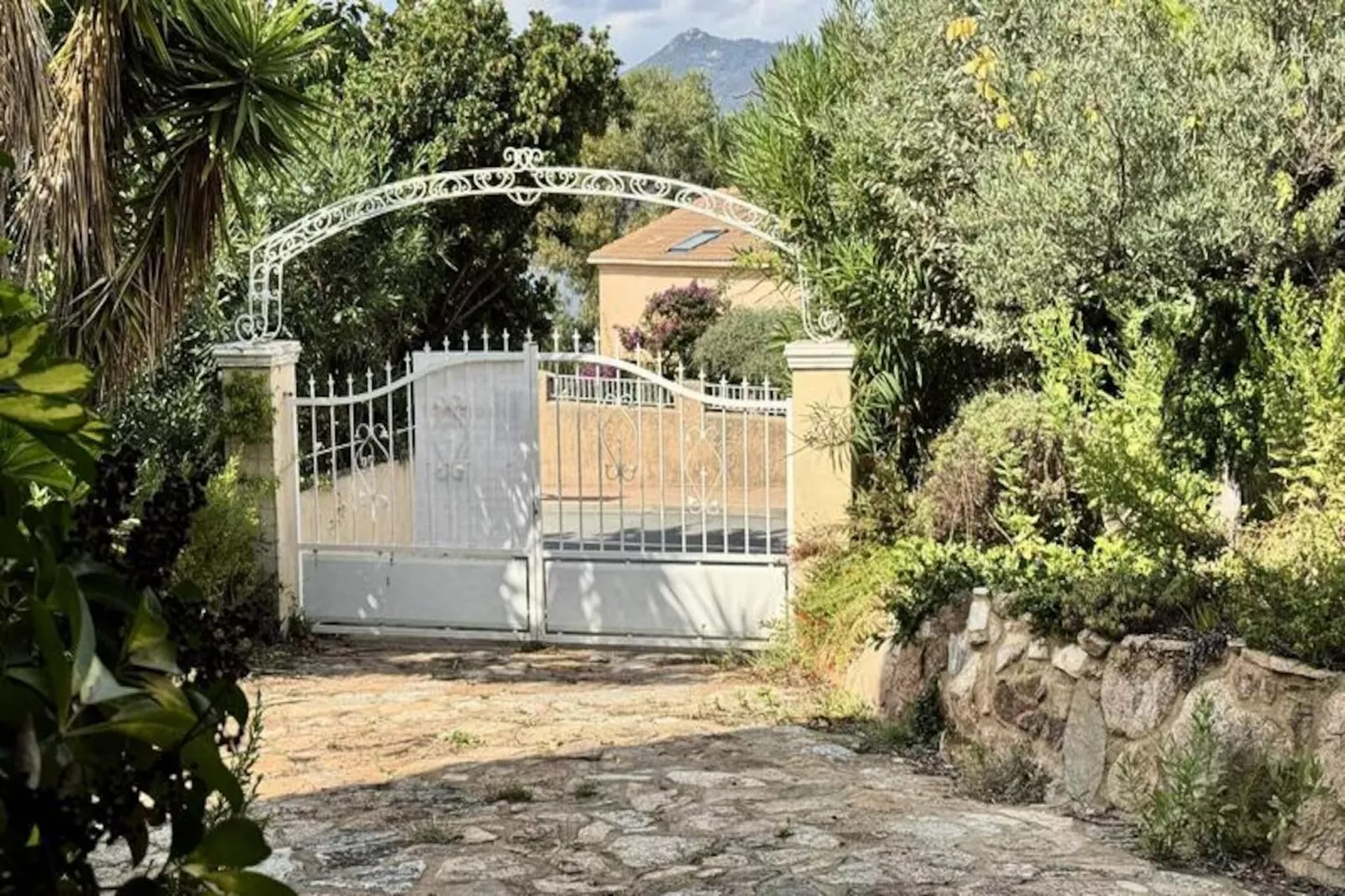 Résidence Dej001-propriano-Image-tags.