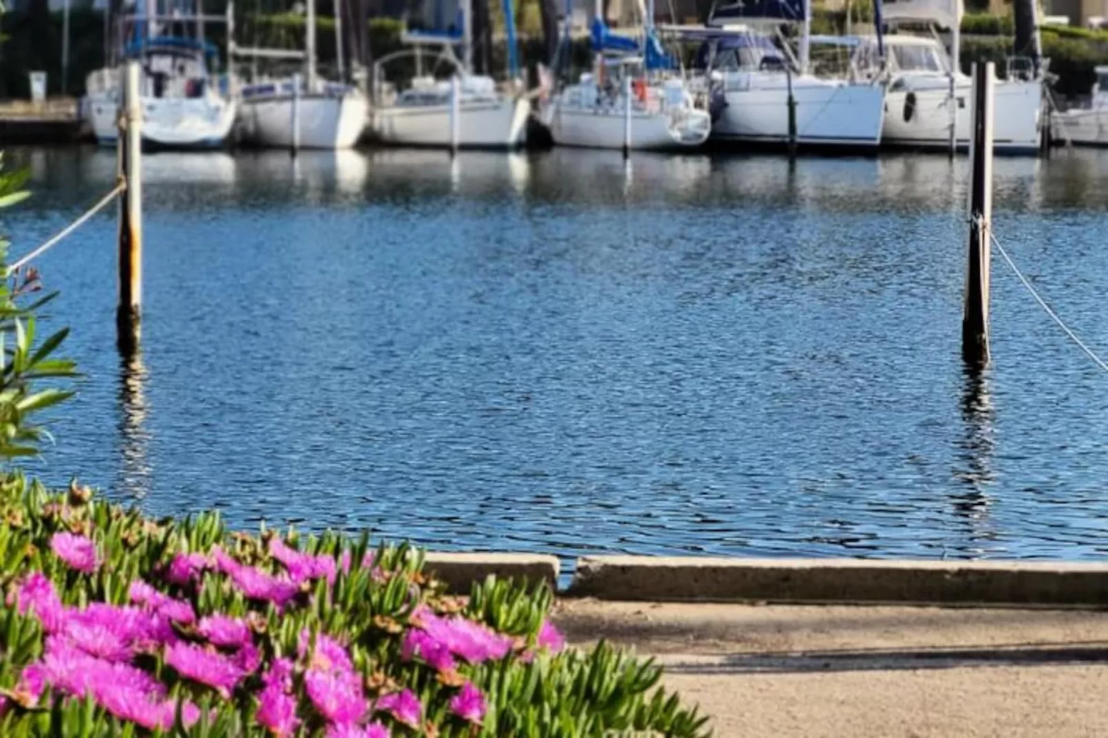 Résidence Marina Lairan Vue Sur L'eau Et Les Bateaux De Port Camargue 2 &eacute;toiles F-Image-tags.