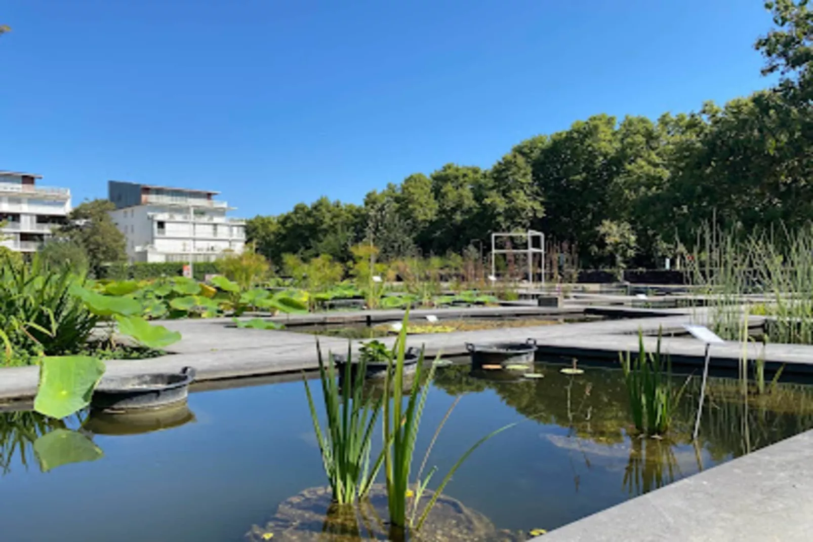&eacute;l&eacute;gant Appartement Au C&oelig;ur Du Quartier Historique Saint-michel-Woonkamer