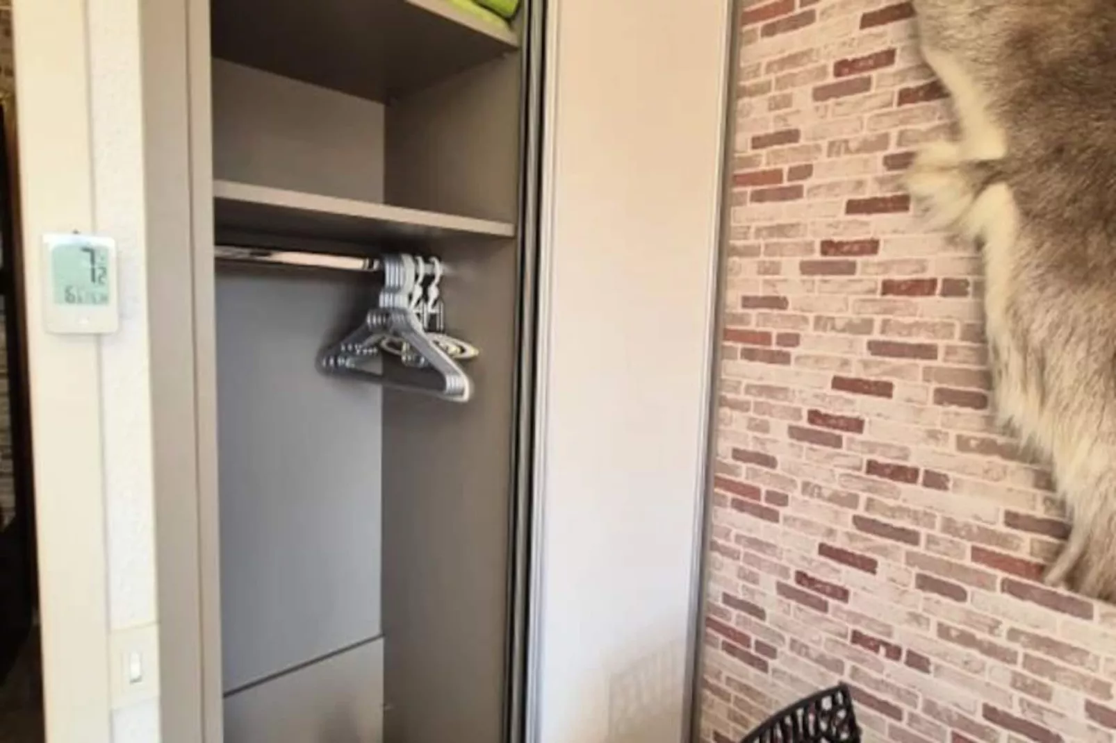 Appartement Cosy Le "wapiti" Au Pied Des Pistes-Image-tags.