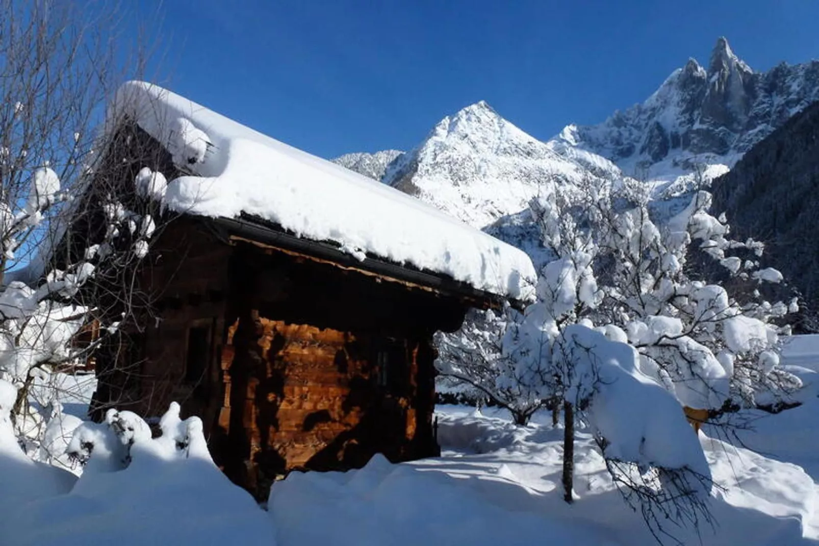 Résidence Sepia-Exterieur winter