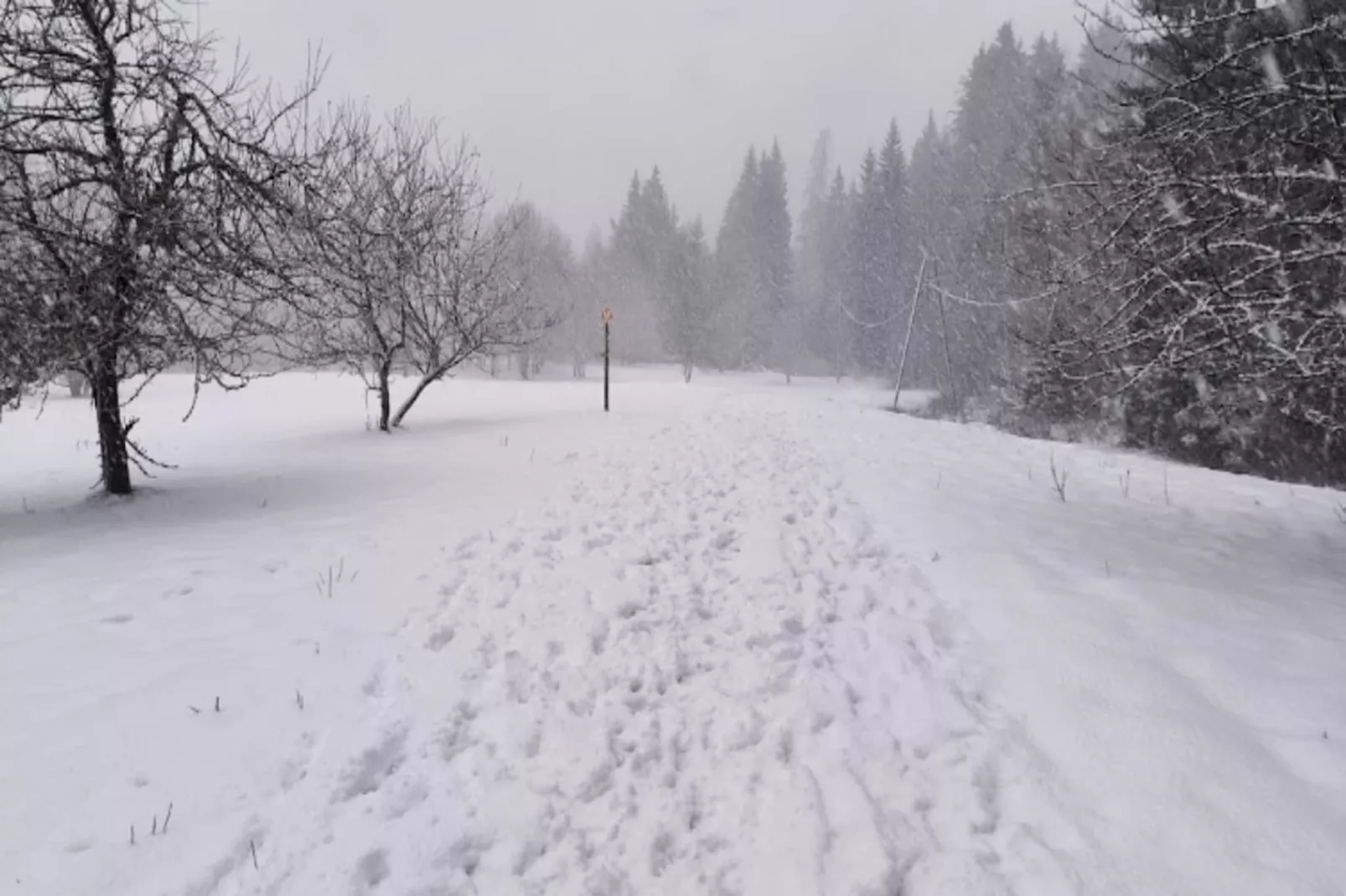 Résidence Jardin Alpin Bat B-Gebied winter 1km