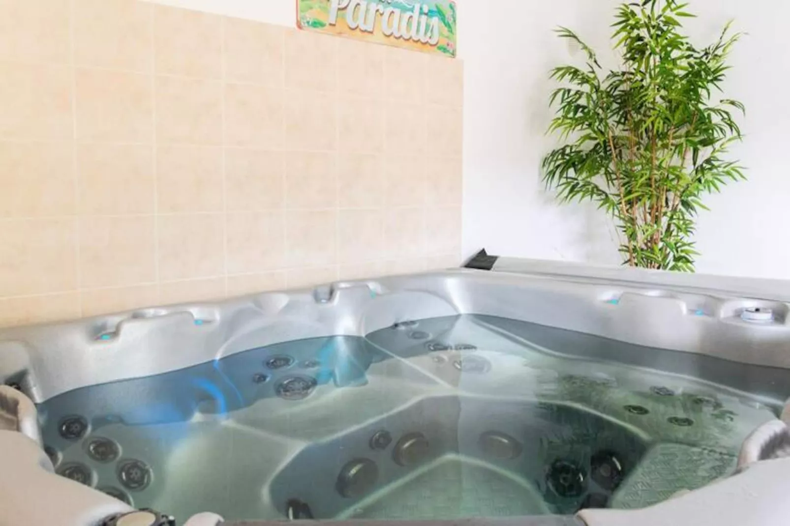 Gîte de France Gîte du régourdel avec spa 3 épis-Image-tags.