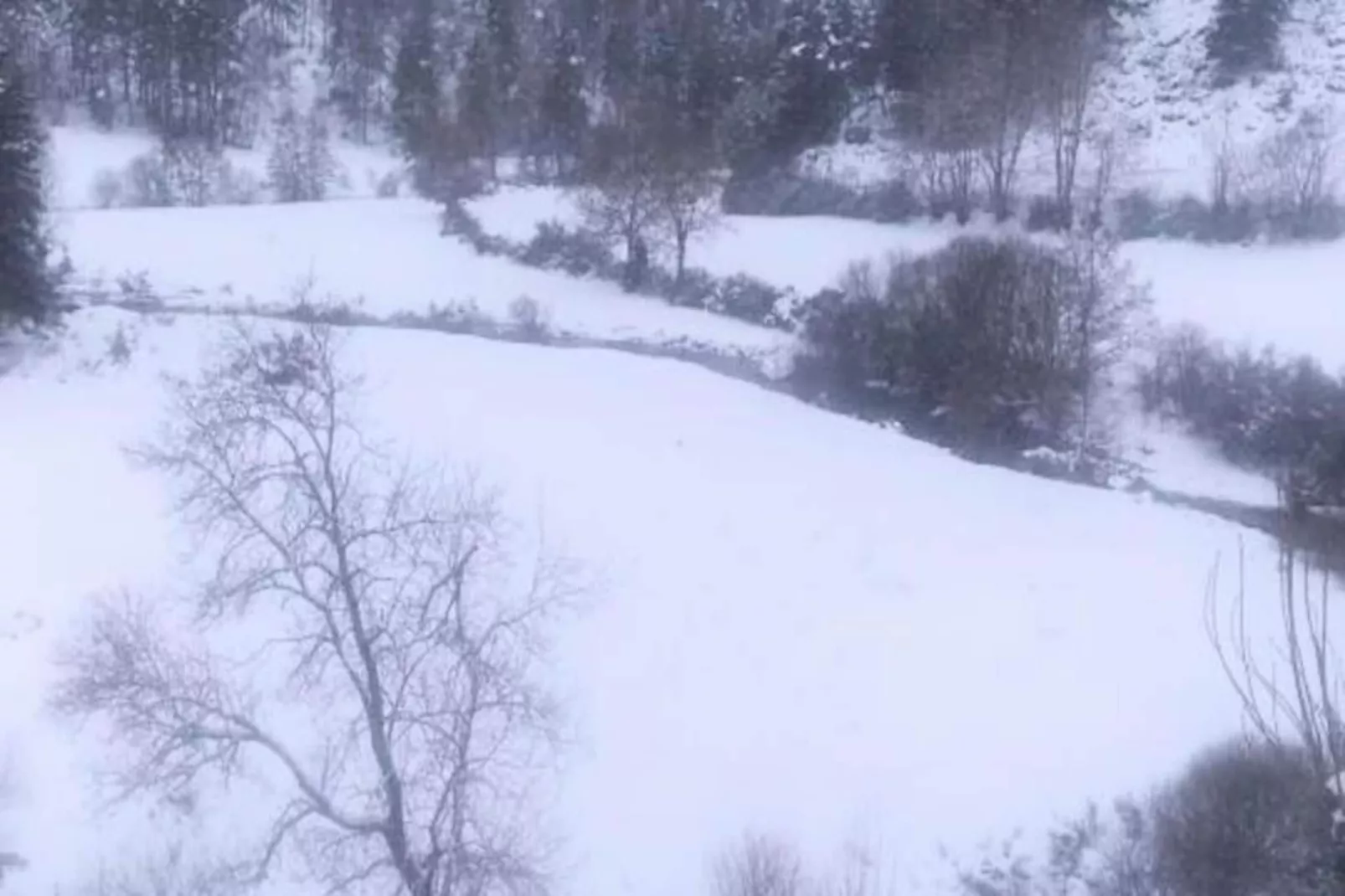 Gîte de France Lou vachou 4 épis-Image-tags.