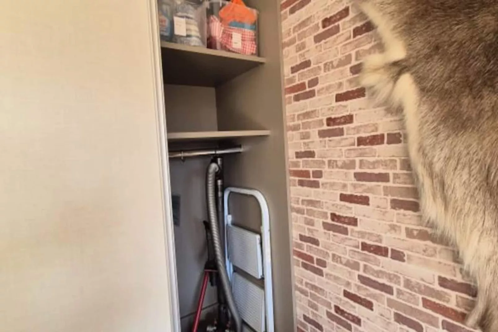 Appartement Cosy Le "wapiti" Au Pied Des Pistes-Image-tags.